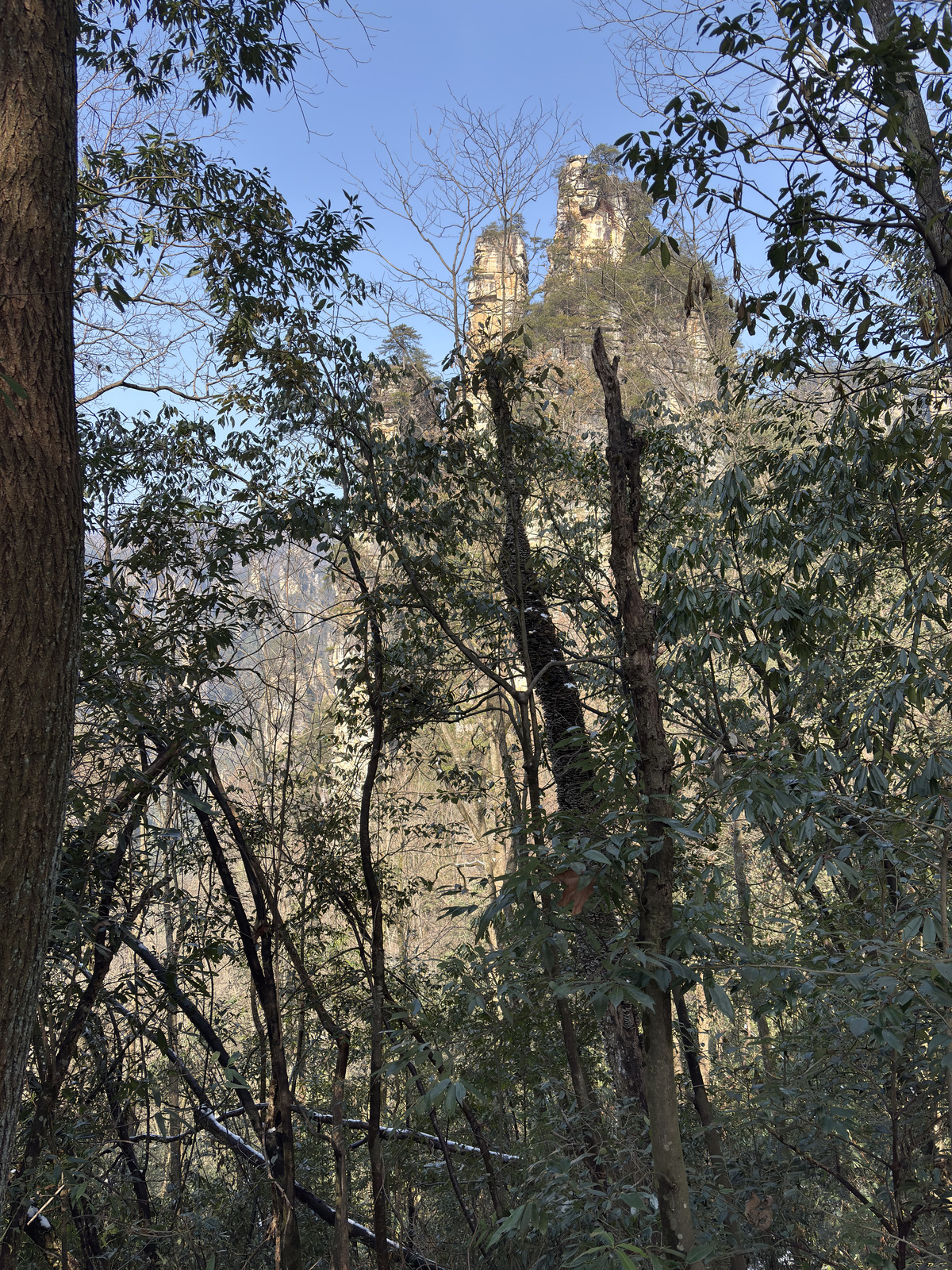Picture China Zhangjiajie Tianzi Mountrain 2026-01 391 - Tourist Attraction Tianzi Mountrain