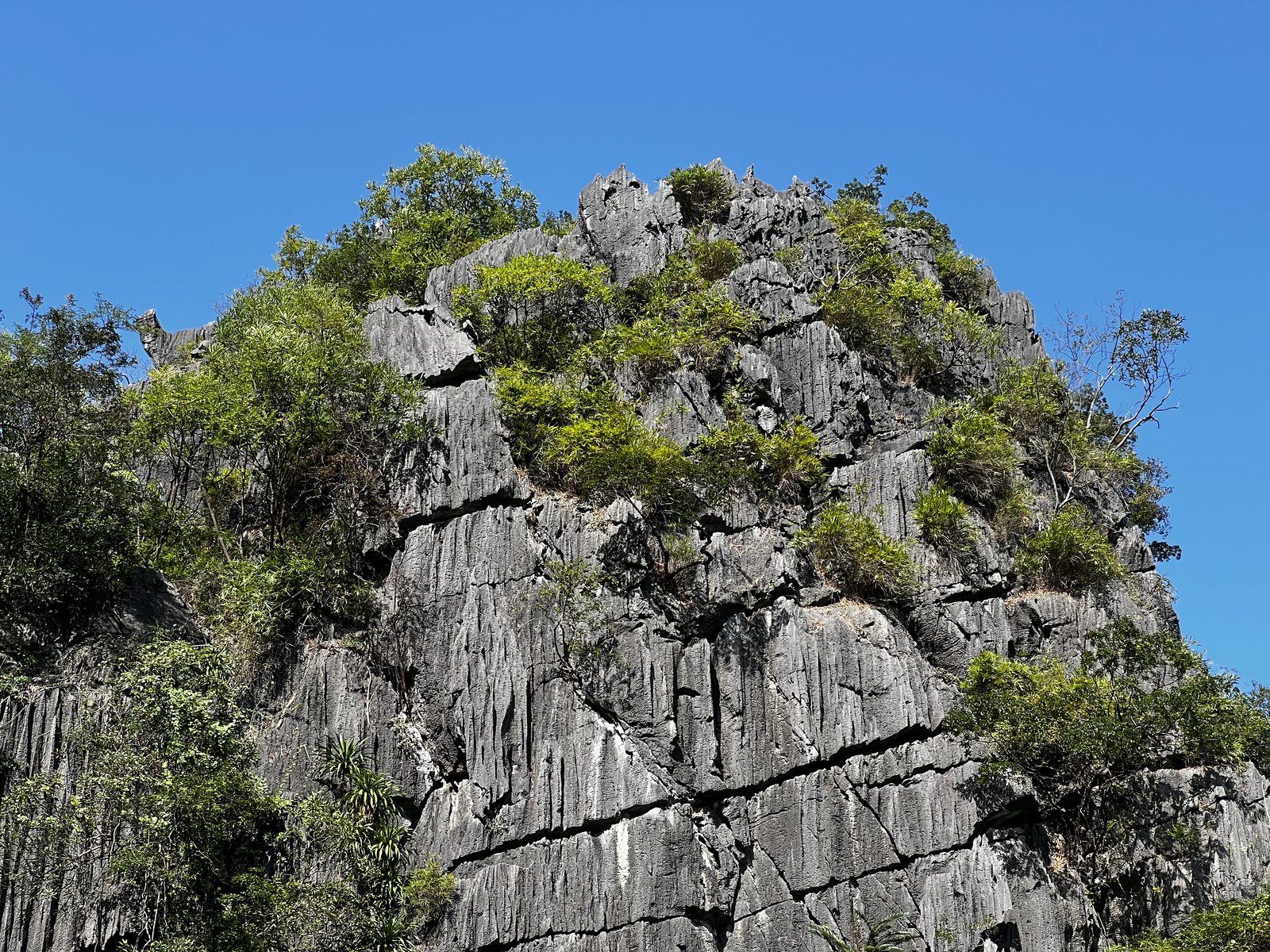 Picture Vietnam Ha Long Bay 2024-01 166 - Trail Ha Long Bay
