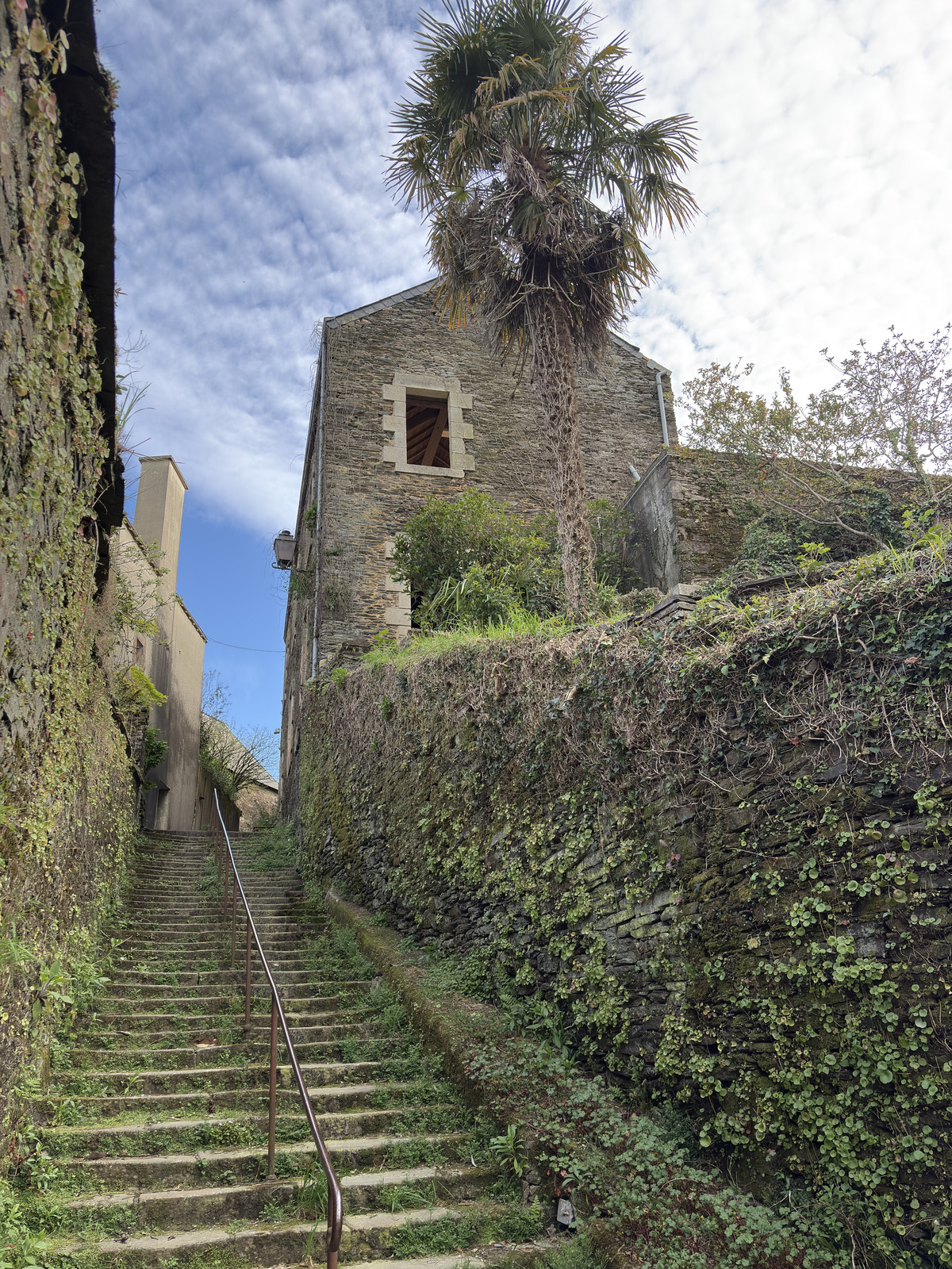 Picture France Rochefort en terre 2026-04 53 - Photographer Rochefort en terre