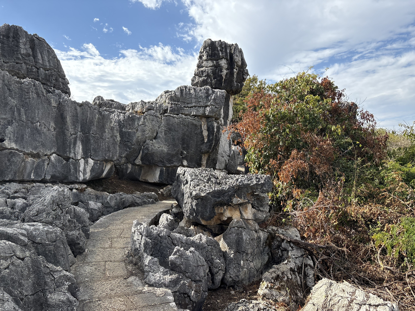 Picture China Shilin Stone Forest 2026-01 12 - Photographers Shilin Stone Forest