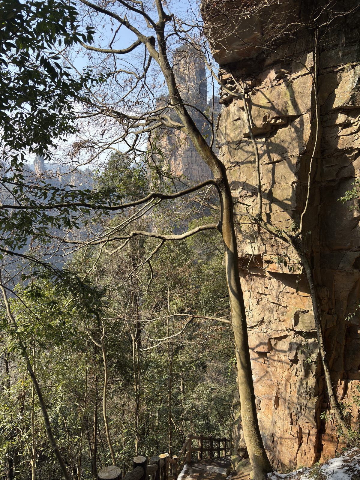 Picture China Zhangjiajie Tianzi Mountrain 2026-01 298 - Perspective Tianzi Mountrain