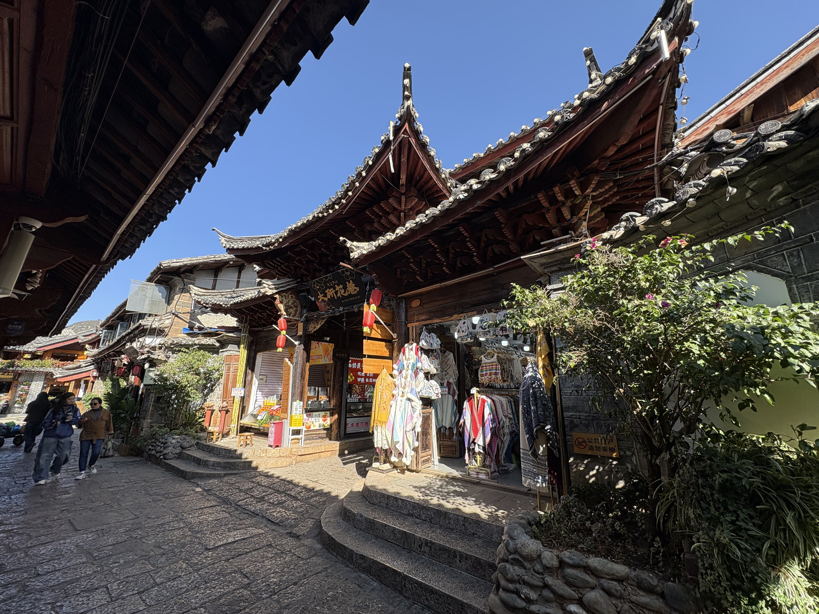 Picture China Lijiang 2026-01 471 - Photographer Lijiang