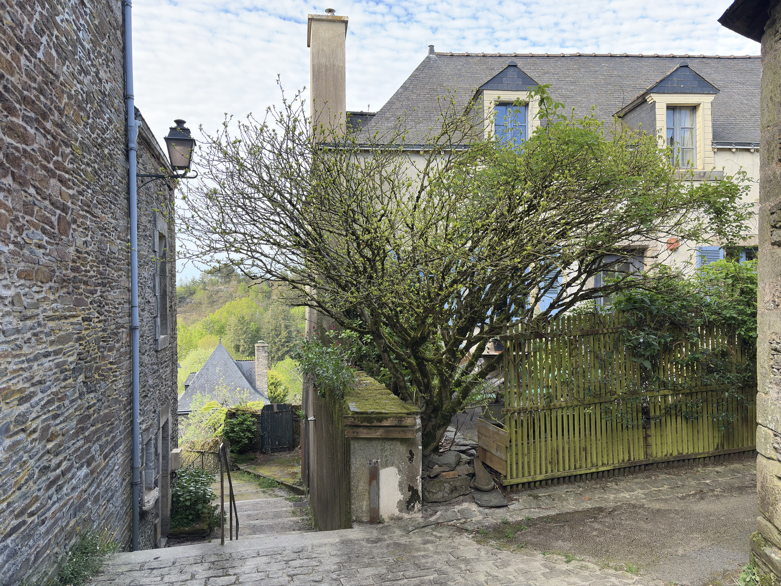 Picture France Rochefort en terre 2026-04 62 - Picture Rochefort en terre