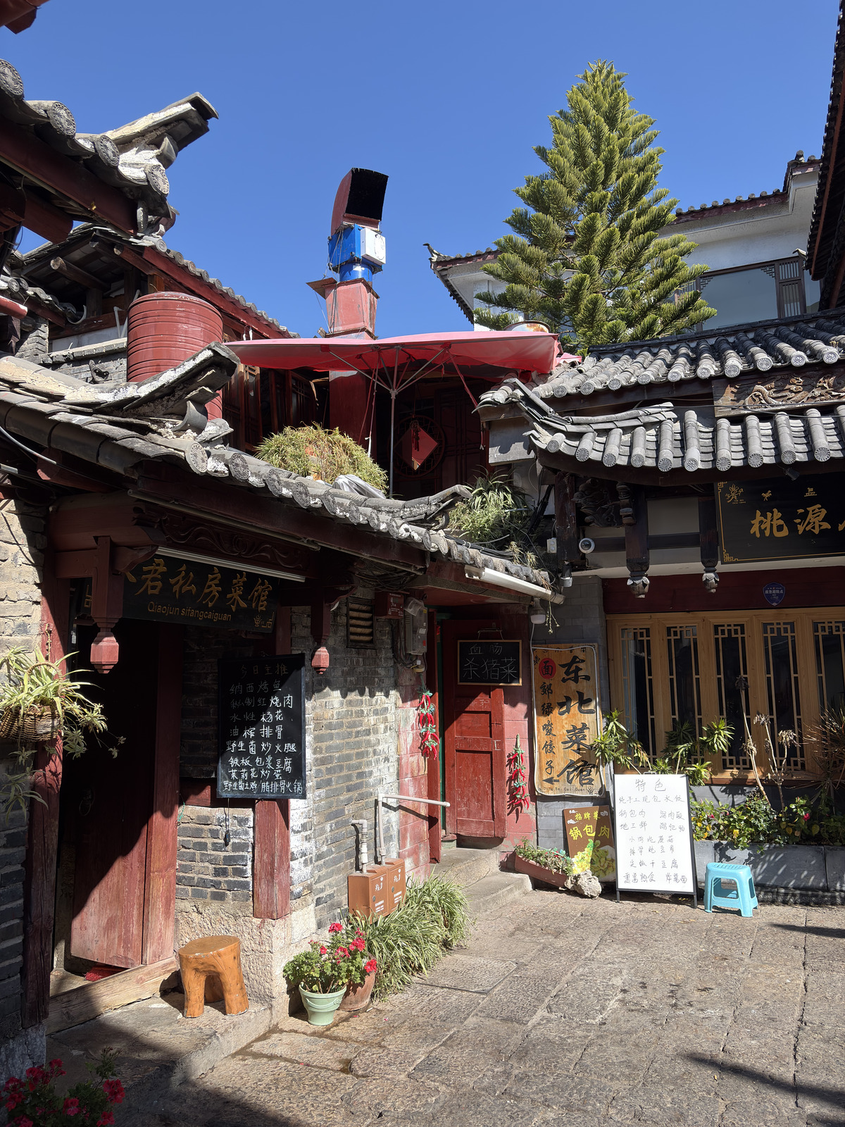Picture China Lijiang 2026-01 297 - Photographer Lijiang