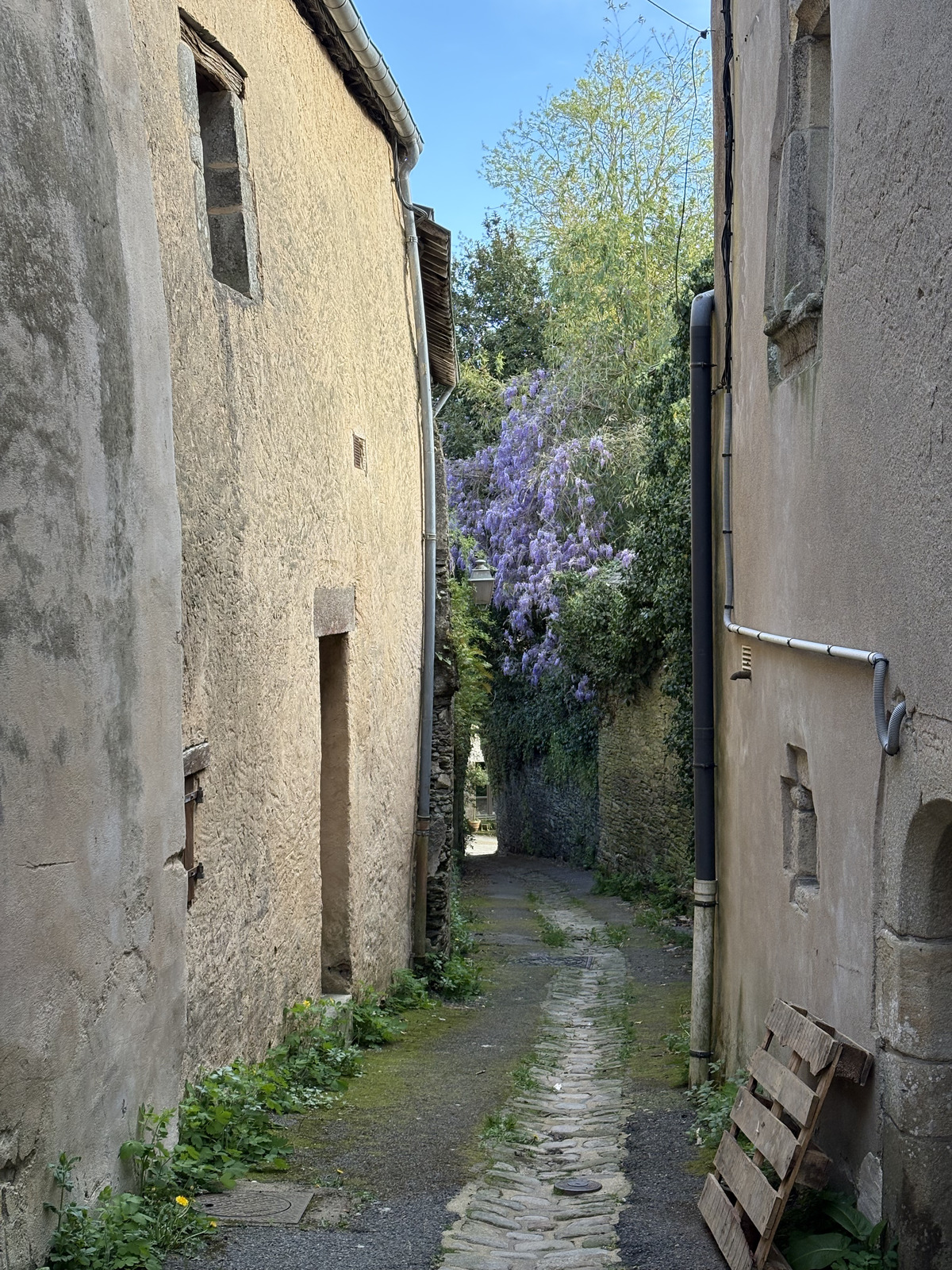 Picture France Rochefort en terre 2026-04 67 - Perspective Rochefort en terre