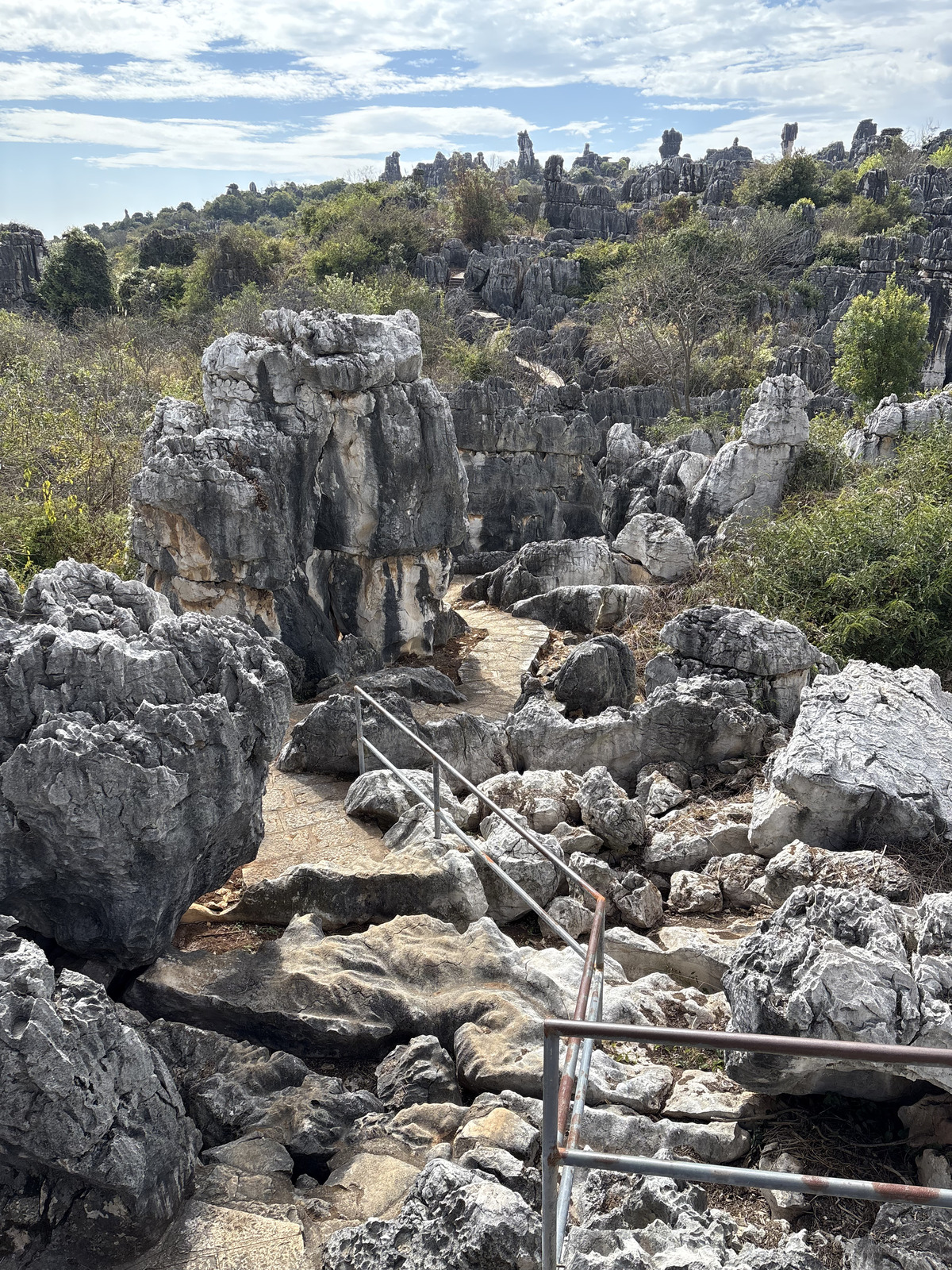 Picture China Shilin Stone Forest 2026-01 141 - Discover Shilin Stone Forest