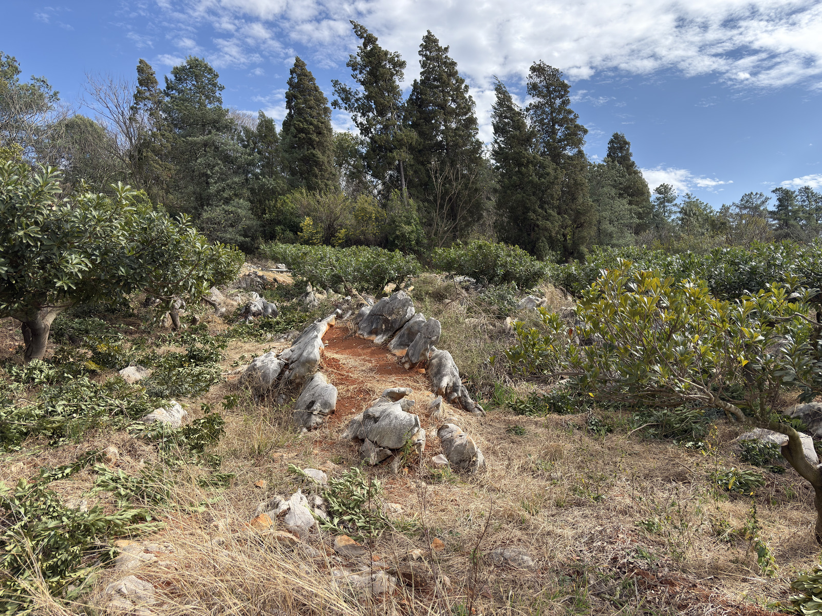 Picture China Shilin Stone Forest 2026-01 310 - Discover Shilin Stone Forest