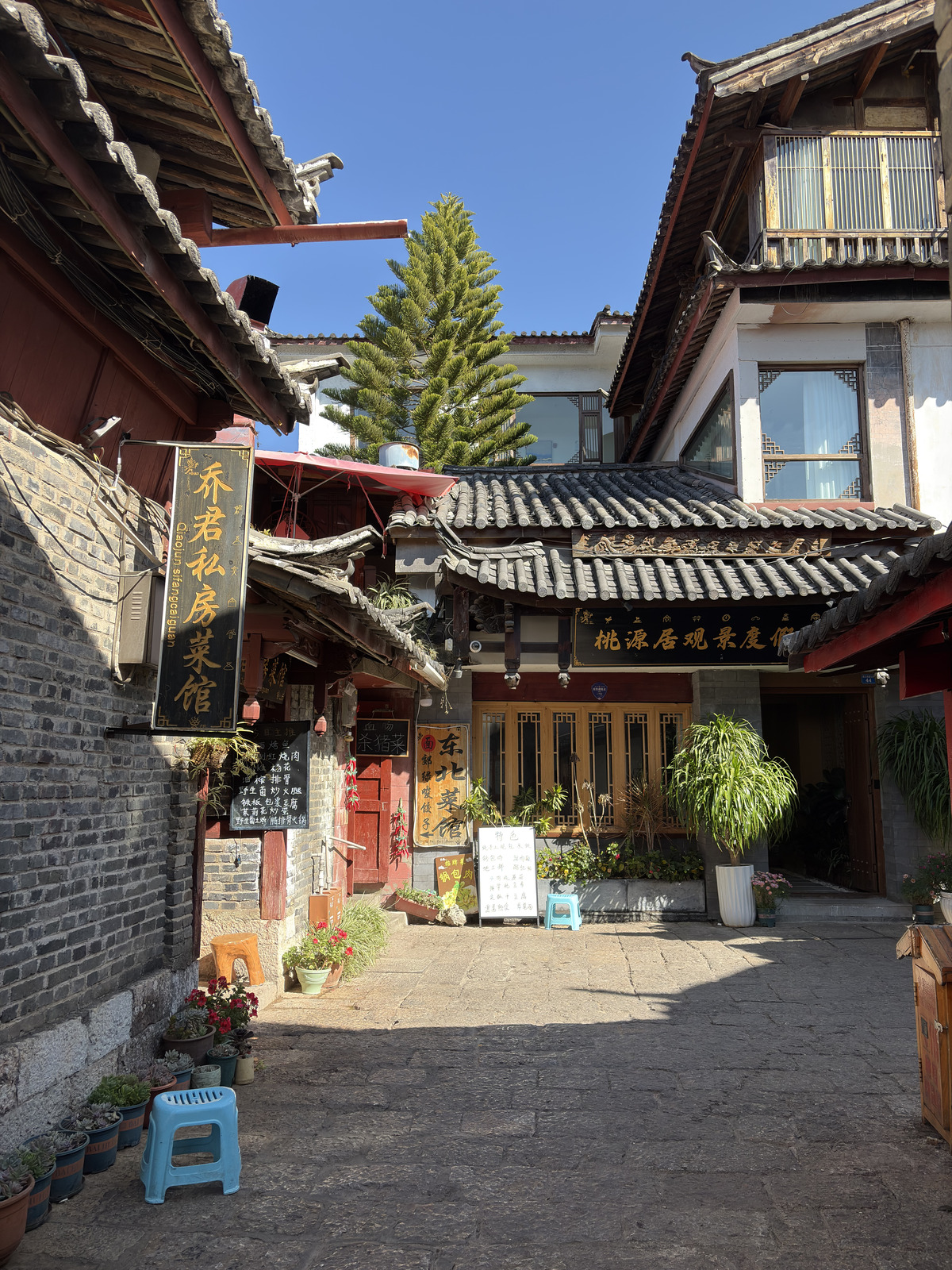 Picture China Lijiang 2026-01 356 - Discover Lijiang