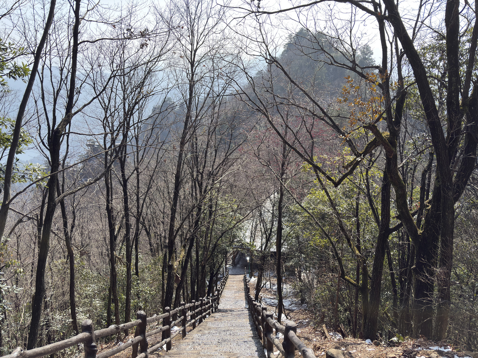 Picture China Zhangjiajie Tianzi Mountrain 2026-01 283 - Car Rental Tianzi Mountrain