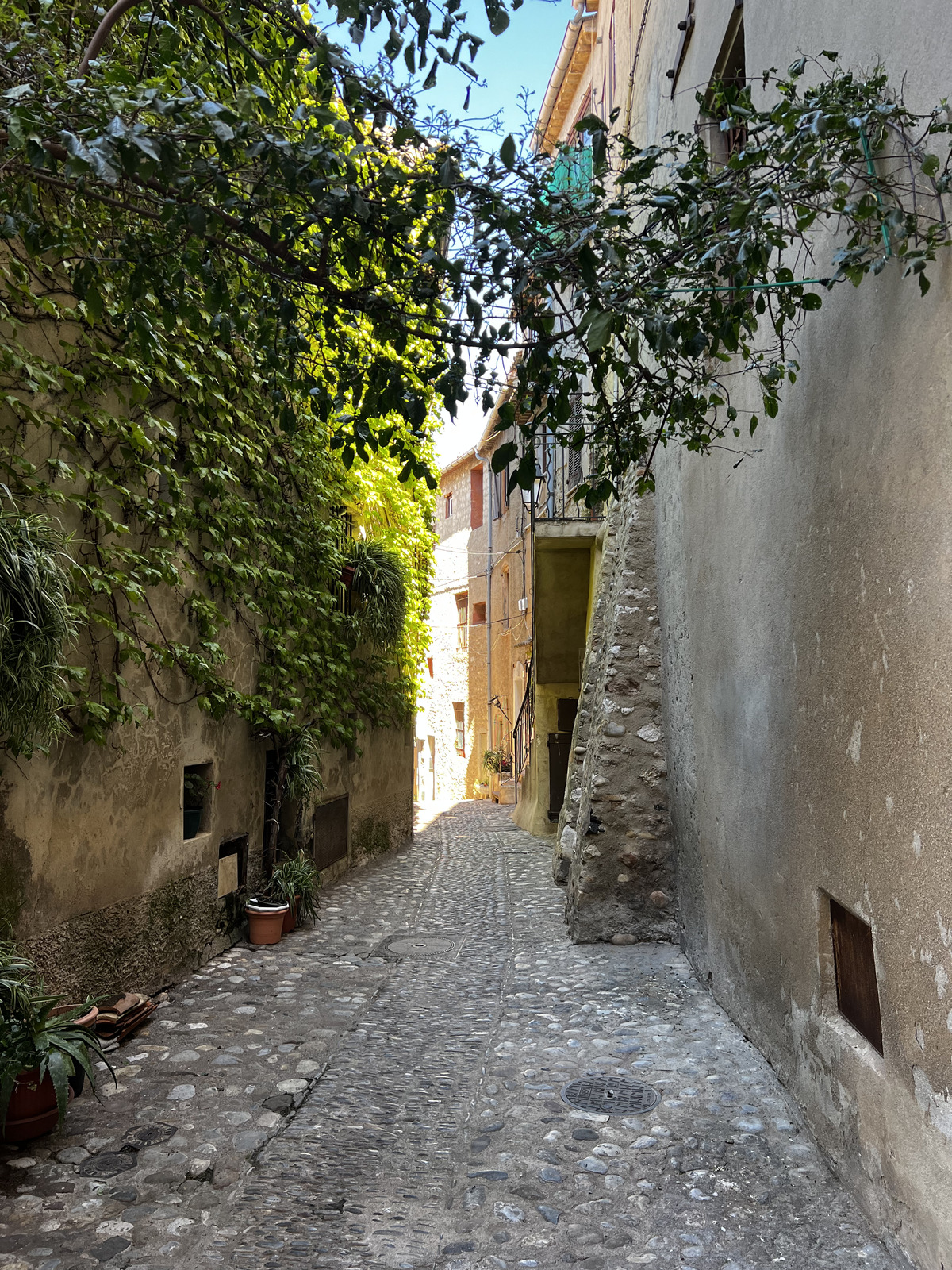 Picture France Haut de Cagne 2024-04 14 - Picture Haut de Cagne