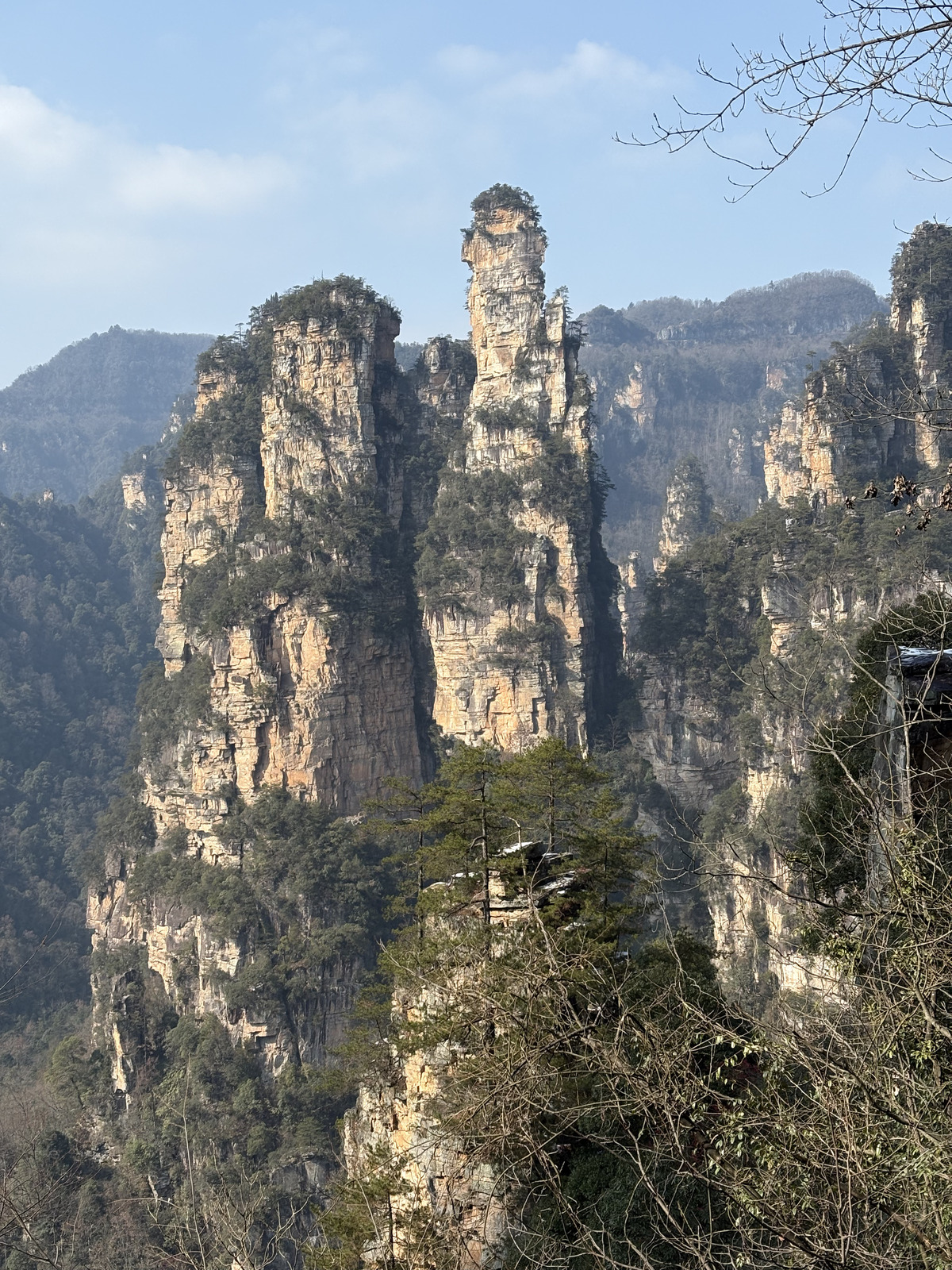 Picture China Zhangjiajie Tianzi Mountrain 2026-01 184 - Photos Tianzi Mountrain