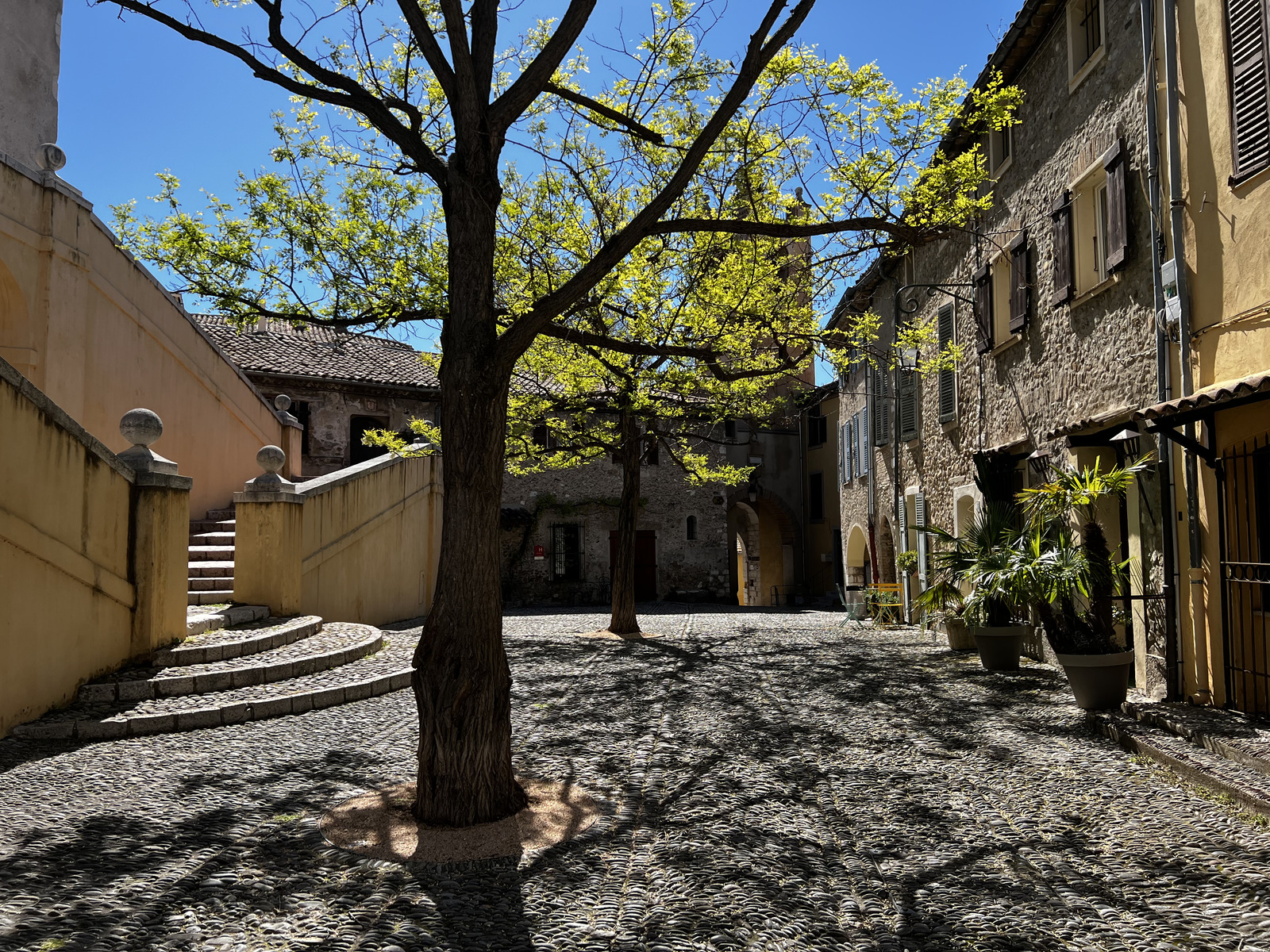 Picture France Haut de Cagne 2024-04 0 - Picture Haut de Cagne