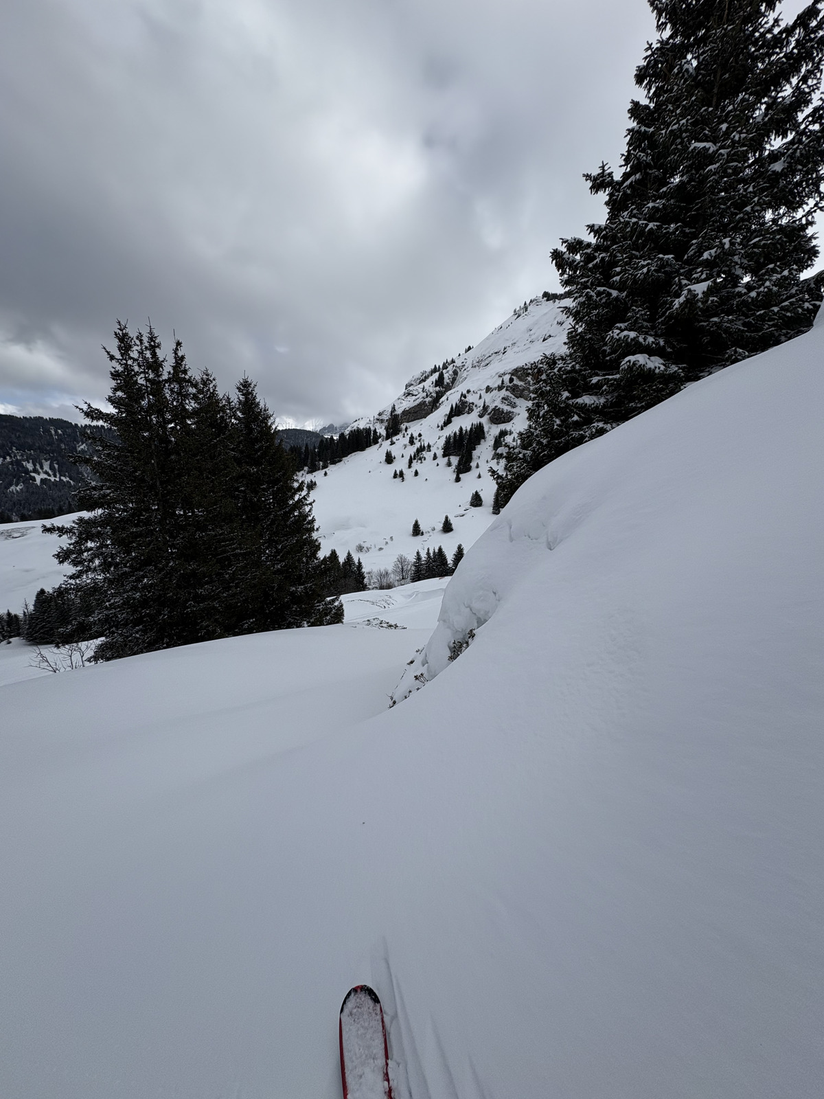 Picture France Praz sur Arly 2025-02 3 - Picture Praz sur Arly