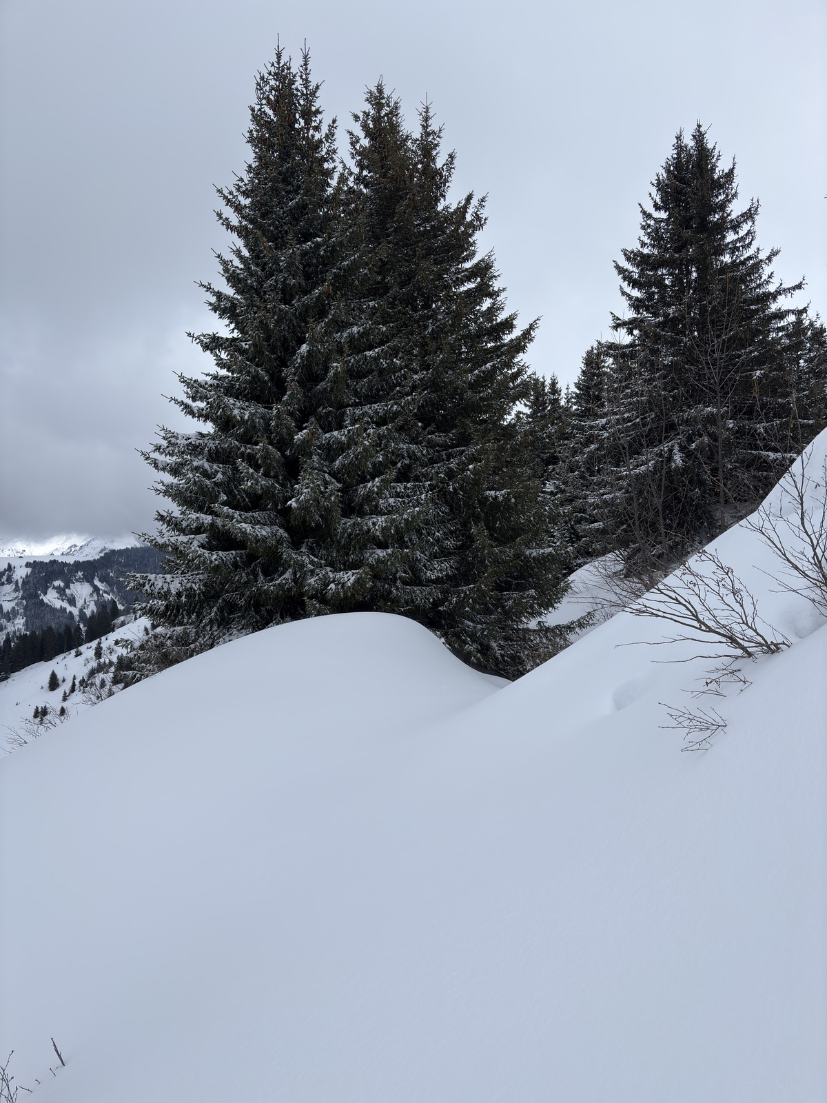 Picture France Praz sur Arly 2025-02 80 - Photographer Praz sur Arly