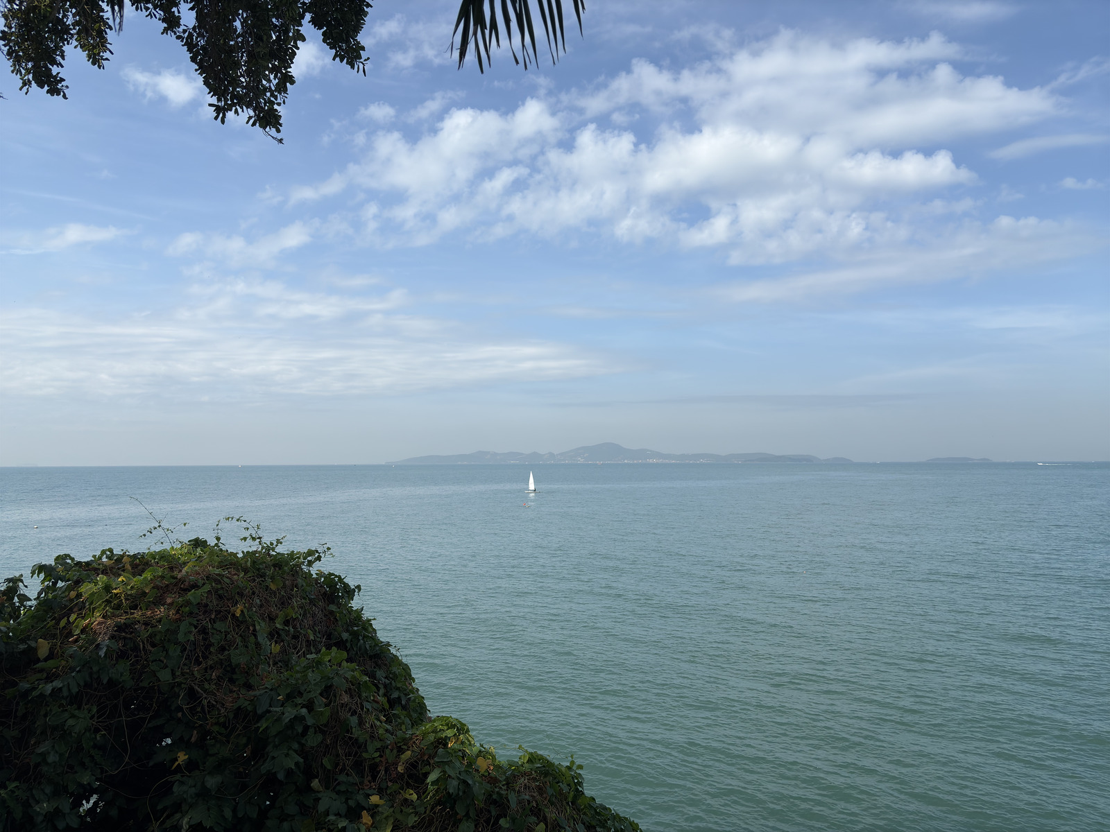 Picture Thailand Pattaya 2024-12 50 - Picture Pattaya