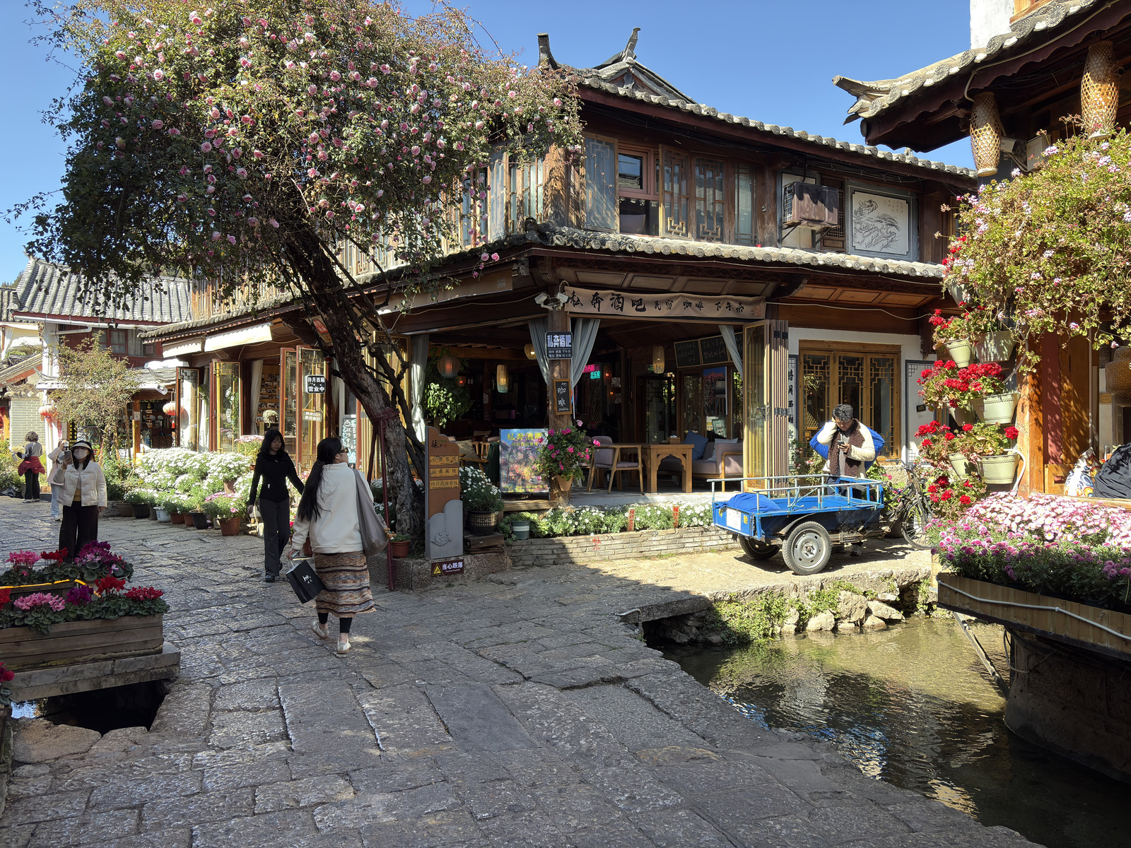 Picture China Lijiang 2026-01 413 - Tourist Lijiang