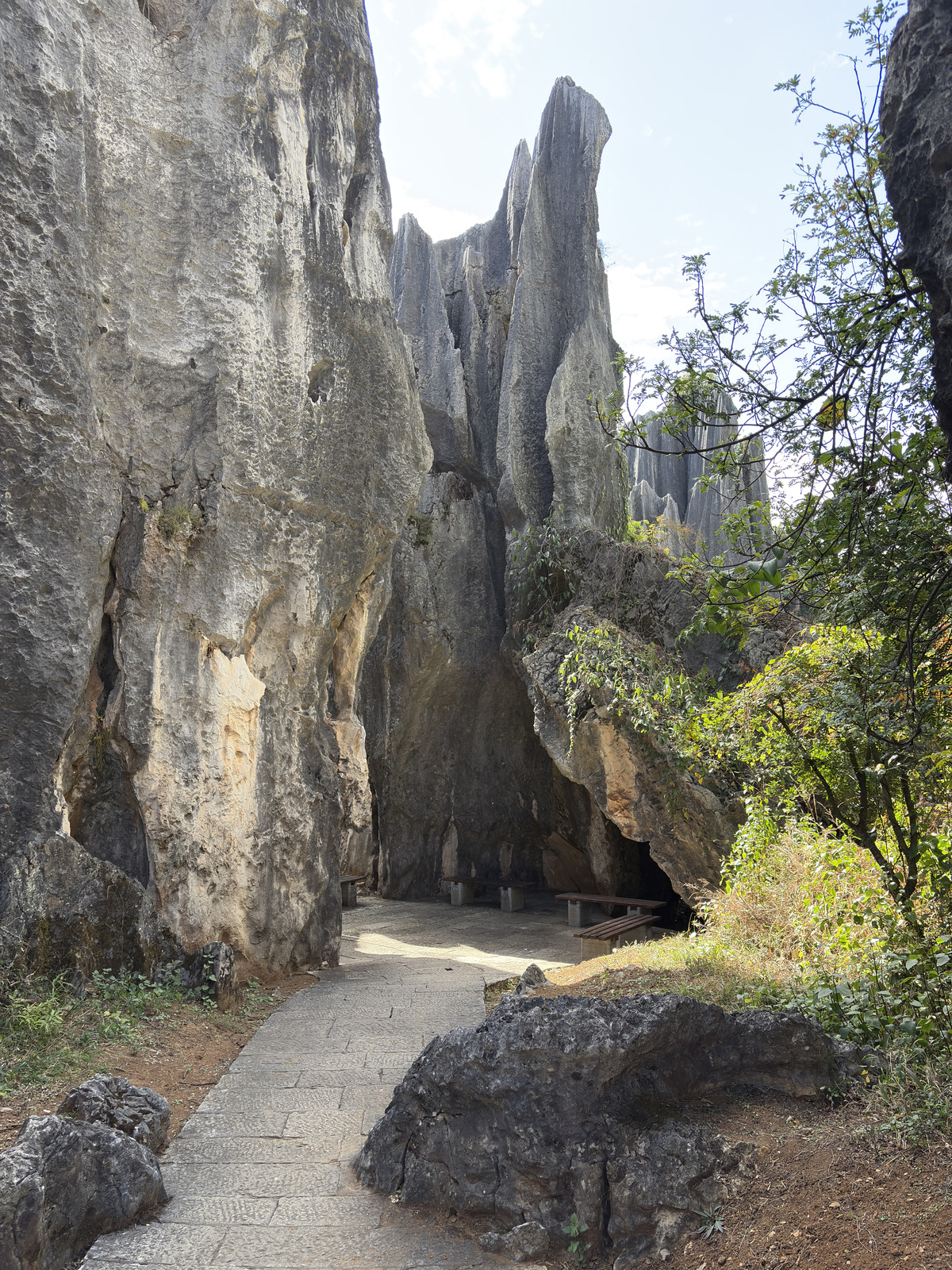 Picture China Shilin Stone Forest 2026-01 372 - View Shilin Stone Forest