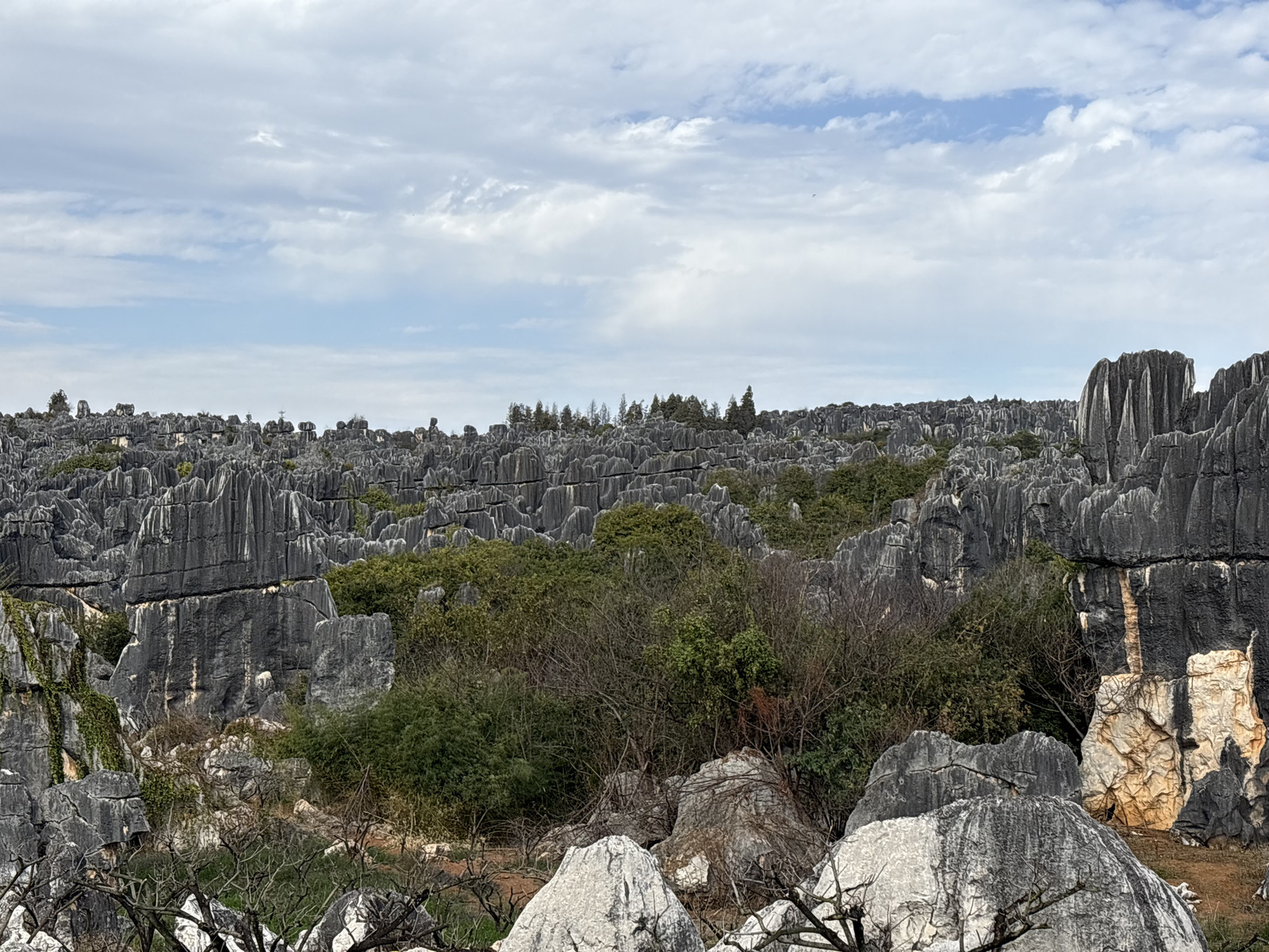 Picture China Shilin Stone Forest 2026-01 45 - Pictures Shilin Stone Forest