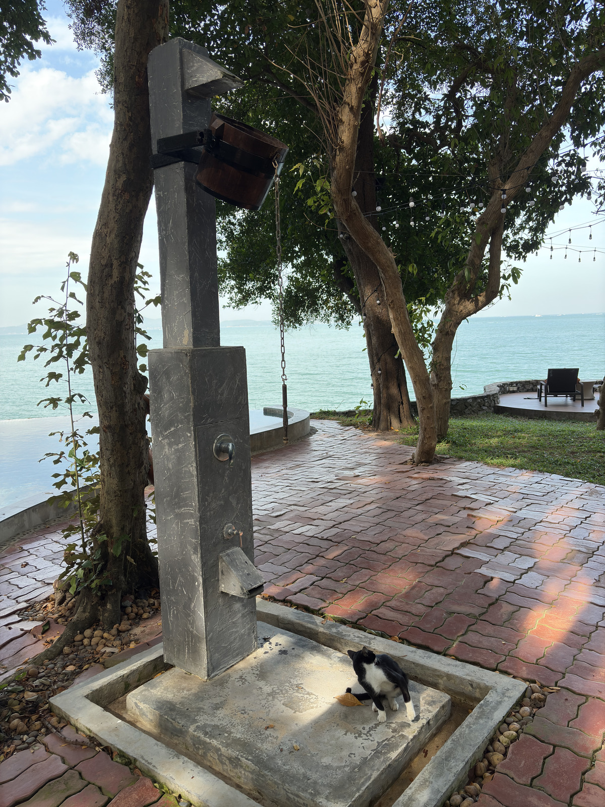 Picture Thailand Pattaya 2024-12 3 - Photos Pattaya