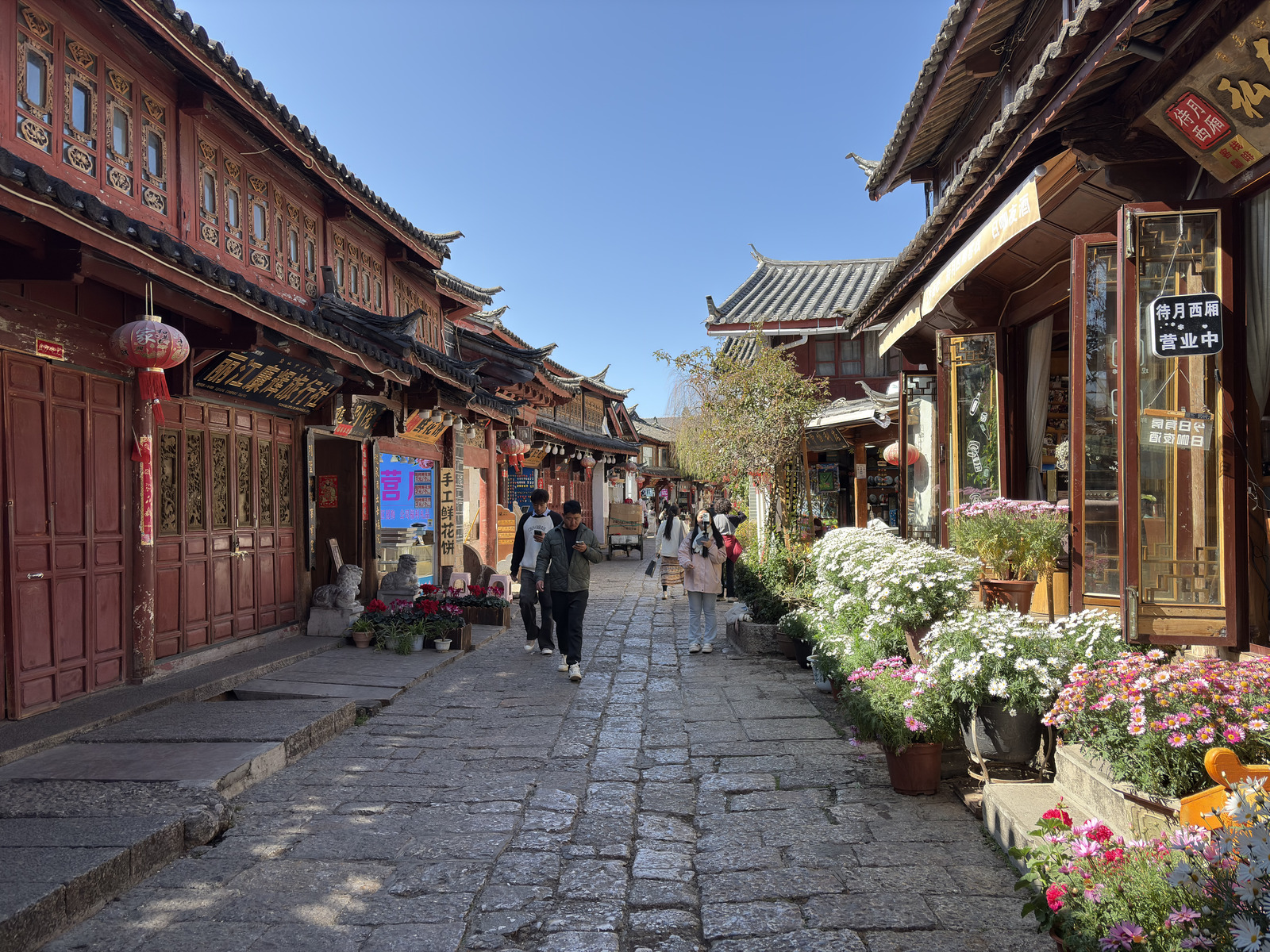 Picture China Lijiang 2026-01 88 - Visit Lijiang
