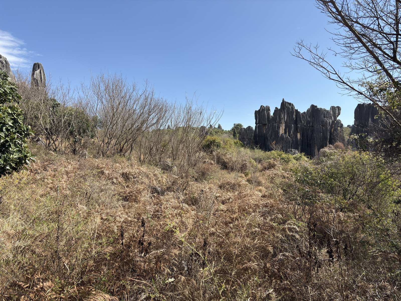 Picture China Shilin Stone Forest 2026-01 120 - Trips Shilin Stone Forest