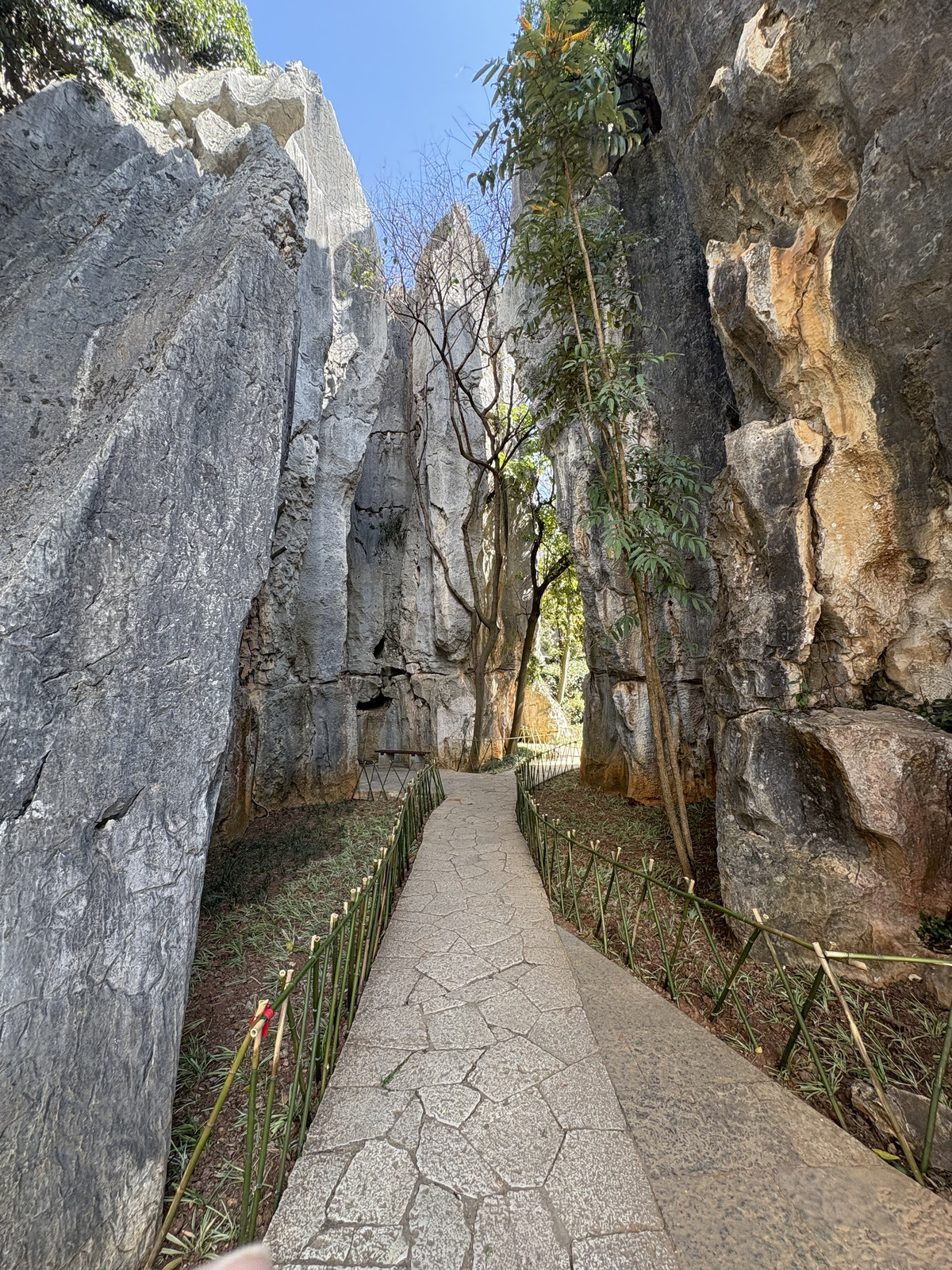 Picture China Shilin Stone Forest 2026-01 392 - Pictures Shilin Stone Forest
