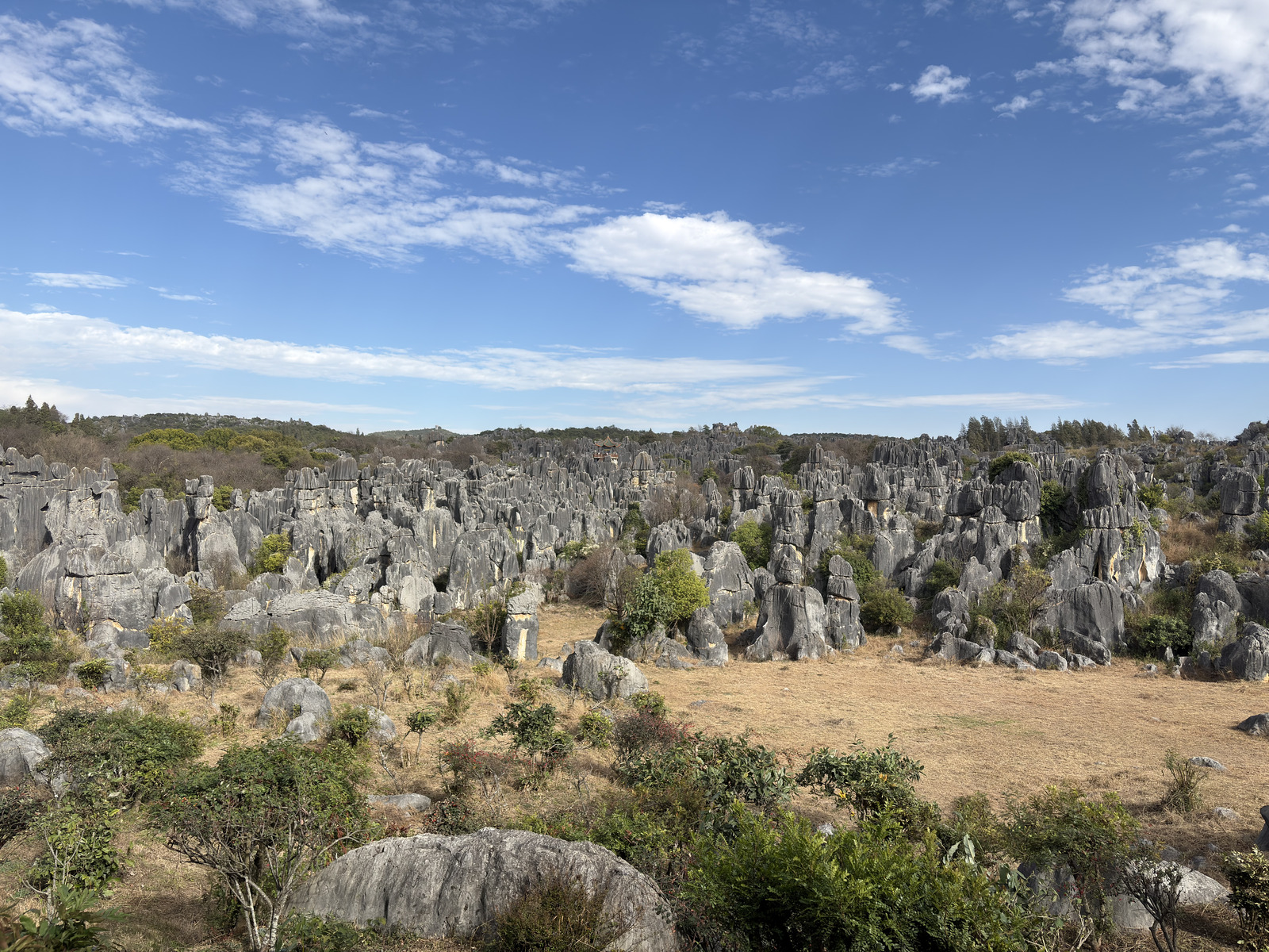Picture China Shilin Stone Forest 2026-01 390 - Photographers Shilin Stone Forest