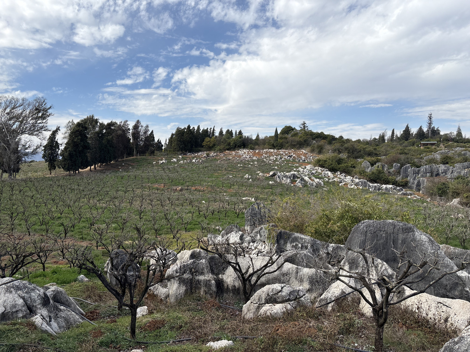Picture China Shilin Stone Forest 2026-01 174 - Views Shilin Stone Forest