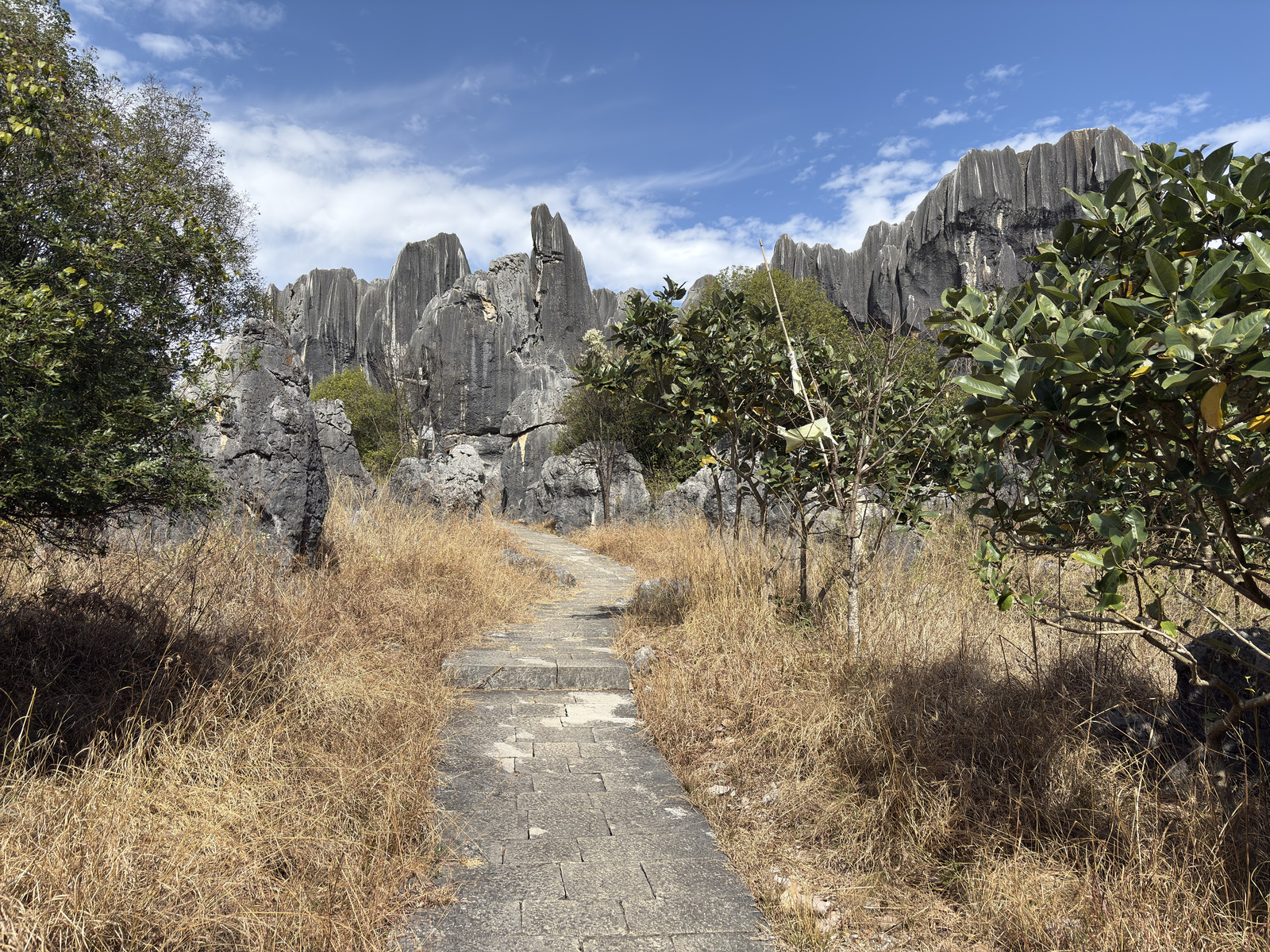 Picture China Shilin Stone Forest 2026-01 5 - Views Shilin Stone Forest