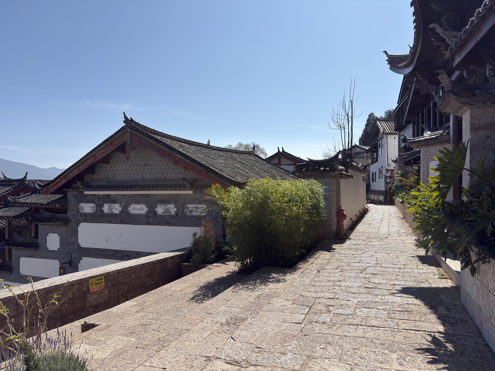 Picture China Lijiang 2026-01 485 - Discover Lijiang