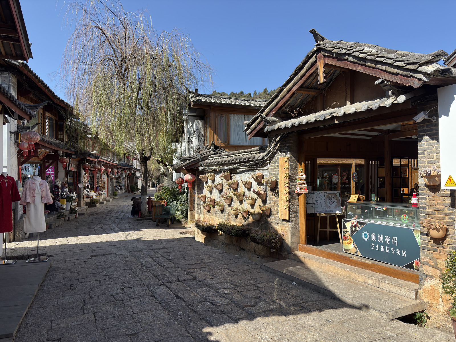 Picture China Lijiang 2026-01 178 - Perspective Lijiang