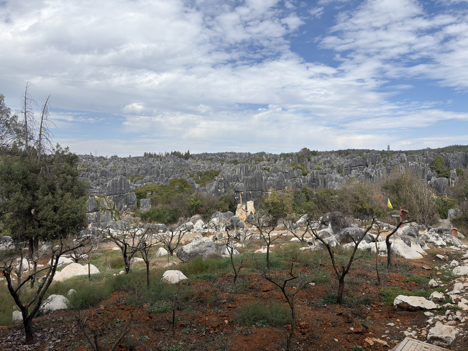 Picture China Shilin Stone Forest 2026-01 197 - Tourist Shilin Stone Forest