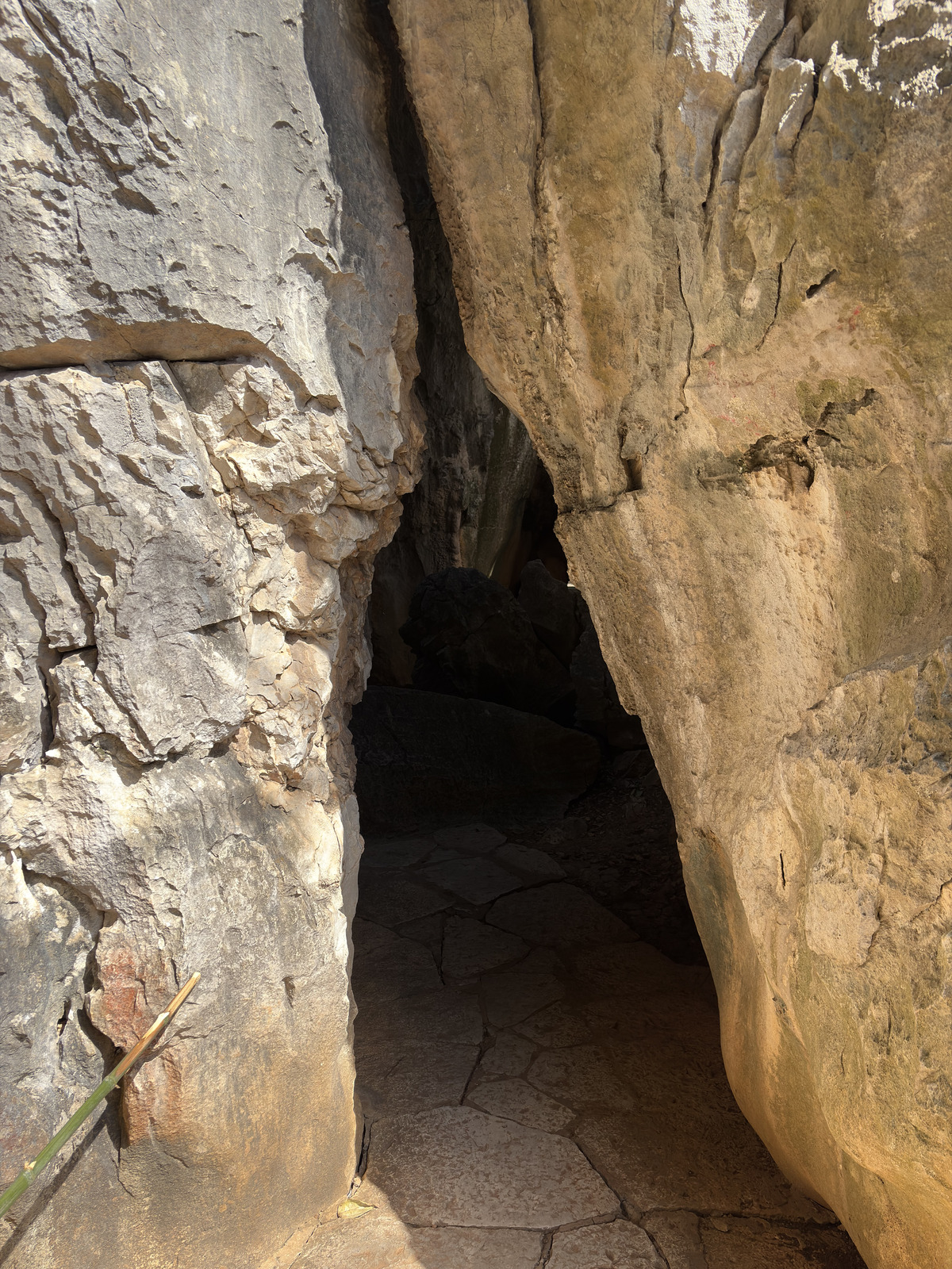 Picture China Shilin Stone Forest 2026-01 41 - Trips Shilin Stone Forest