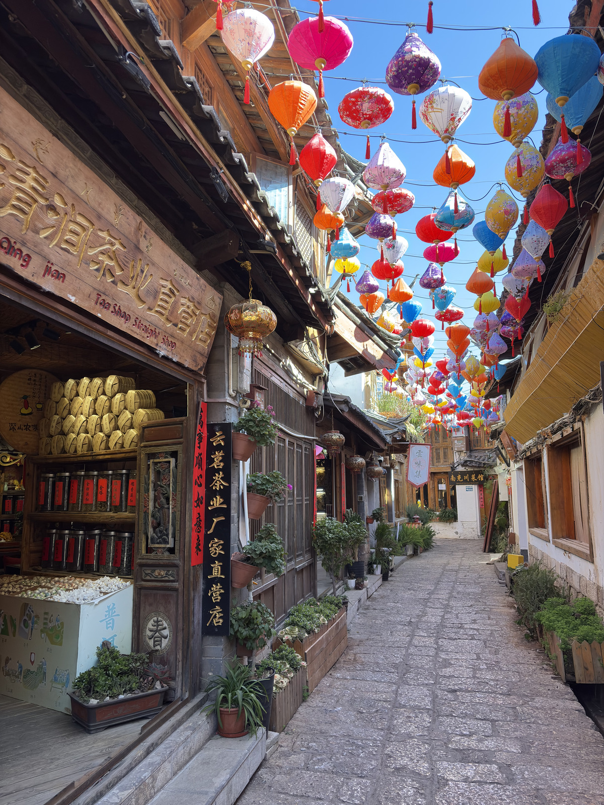 Picture China Lijiang 2026-01 290 - Randonee Lijiang