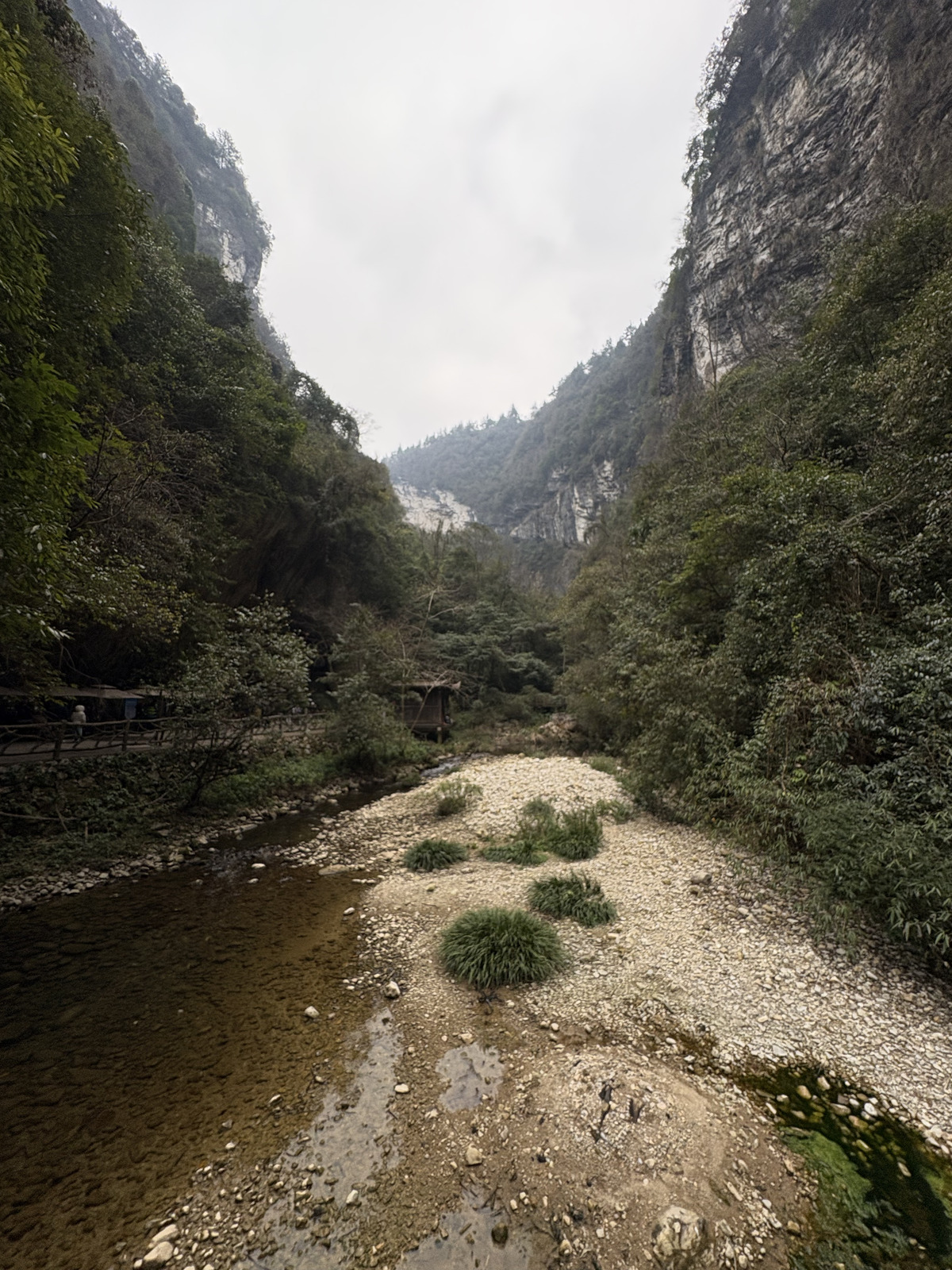 Picture China Zhangjiajie Grand Canion 2026-01 17 - Perspective Grand Canion