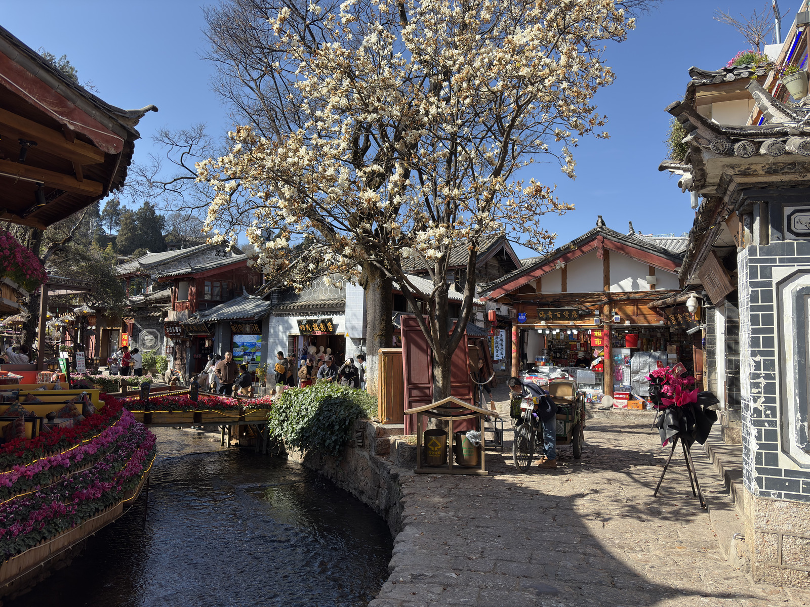 Picture China Lijiang 2026-01 299 - Tourist Places Lijiang