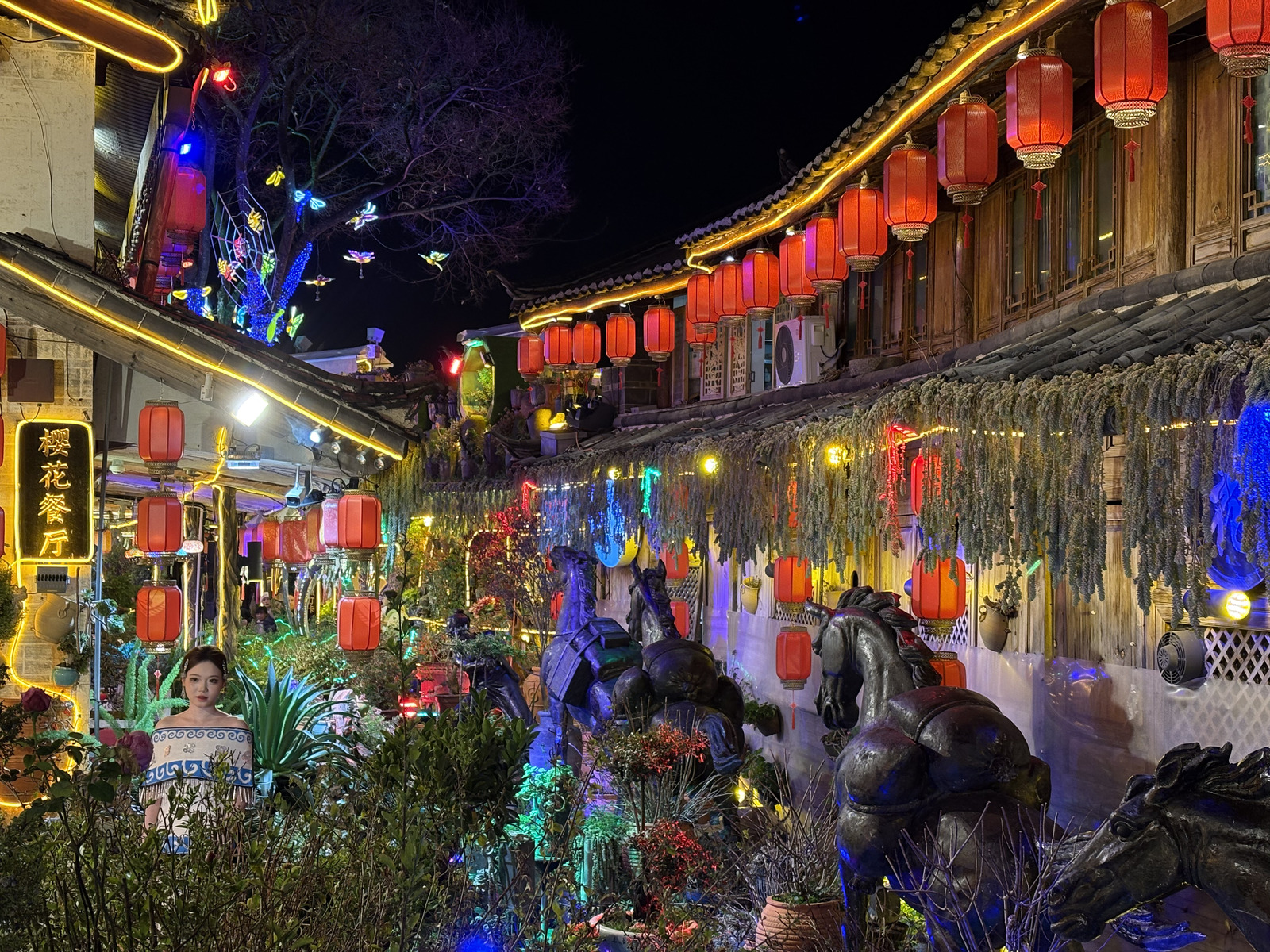 Picture China Lijiang 2026-01 573 - Photos Lijiang