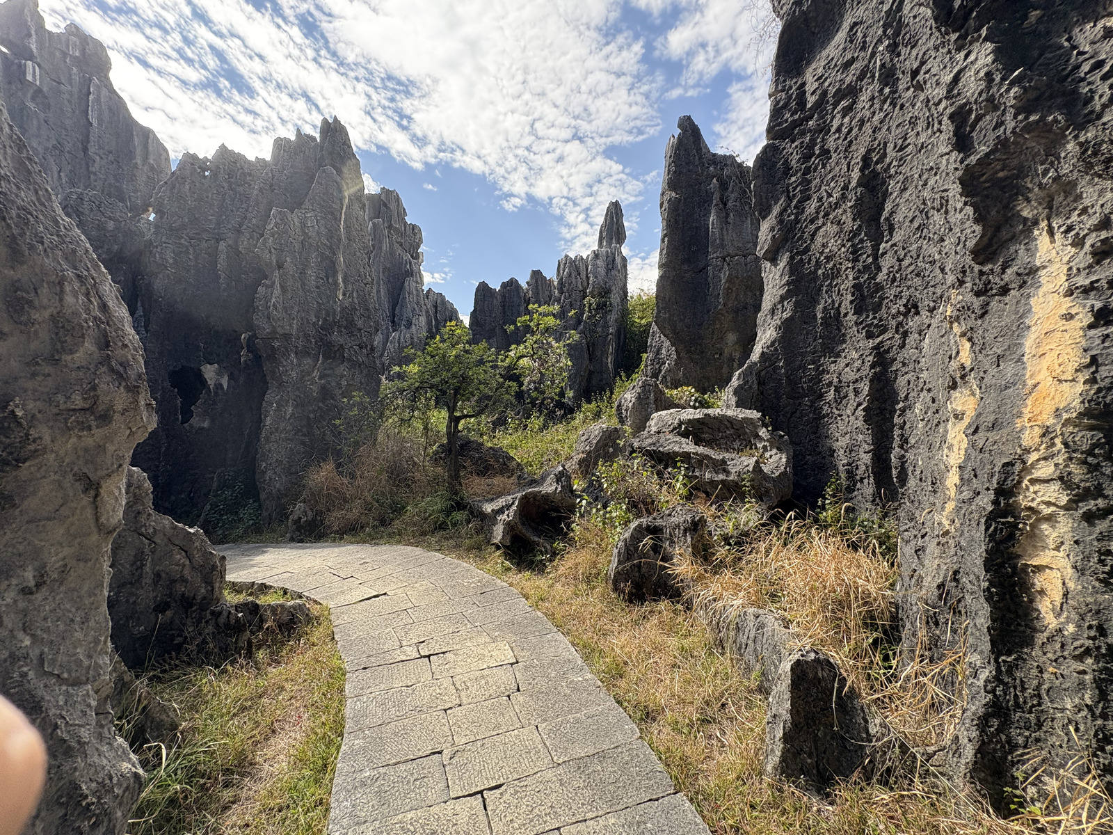 Picture China Shilin Stone Forest 2026-01 29 - Trip Shilin Stone Forest