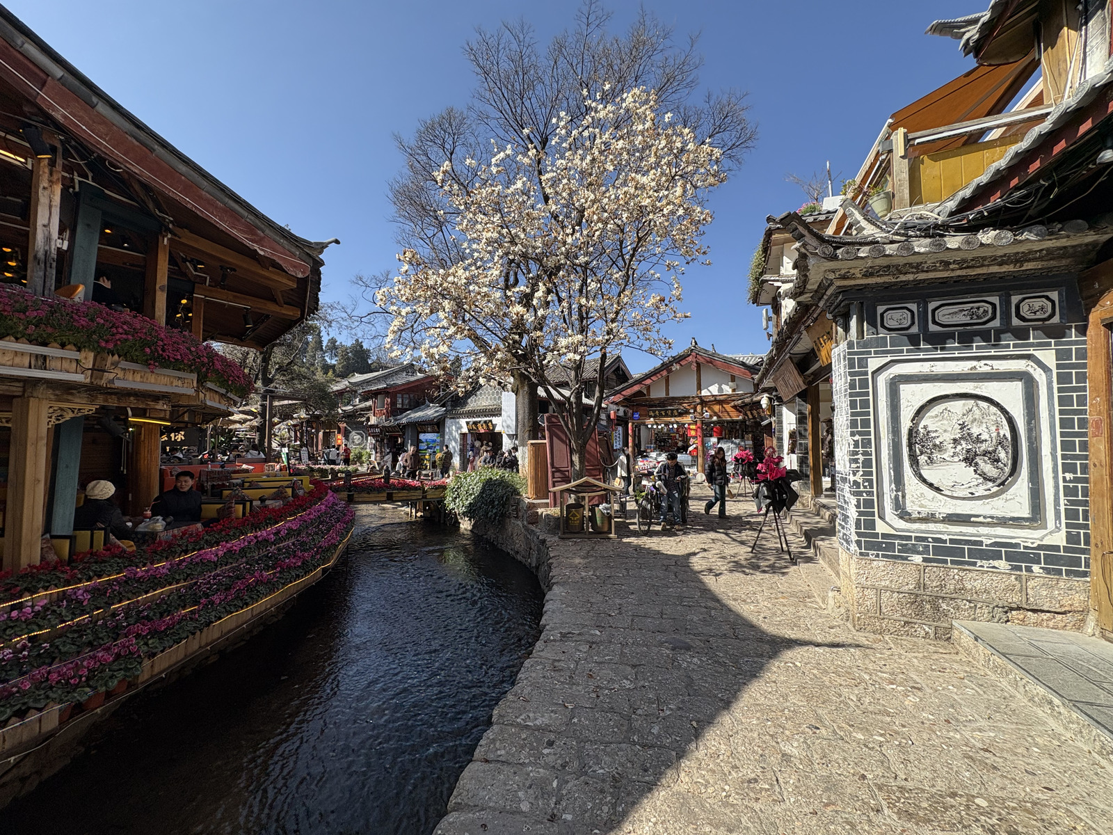 Picture China Lijiang 2026-01 358 - Pictures Lijiang
