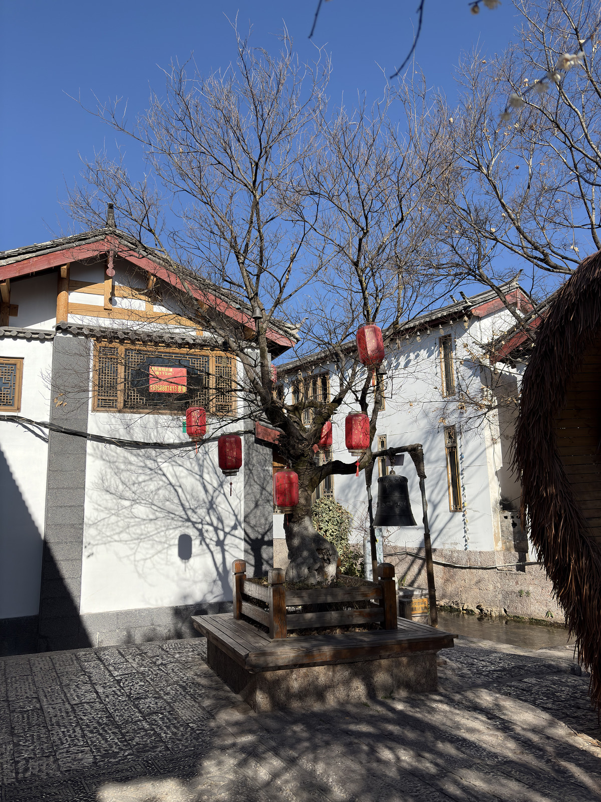 Picture China Lijiang 2026-01 451 - Sight Lijiang