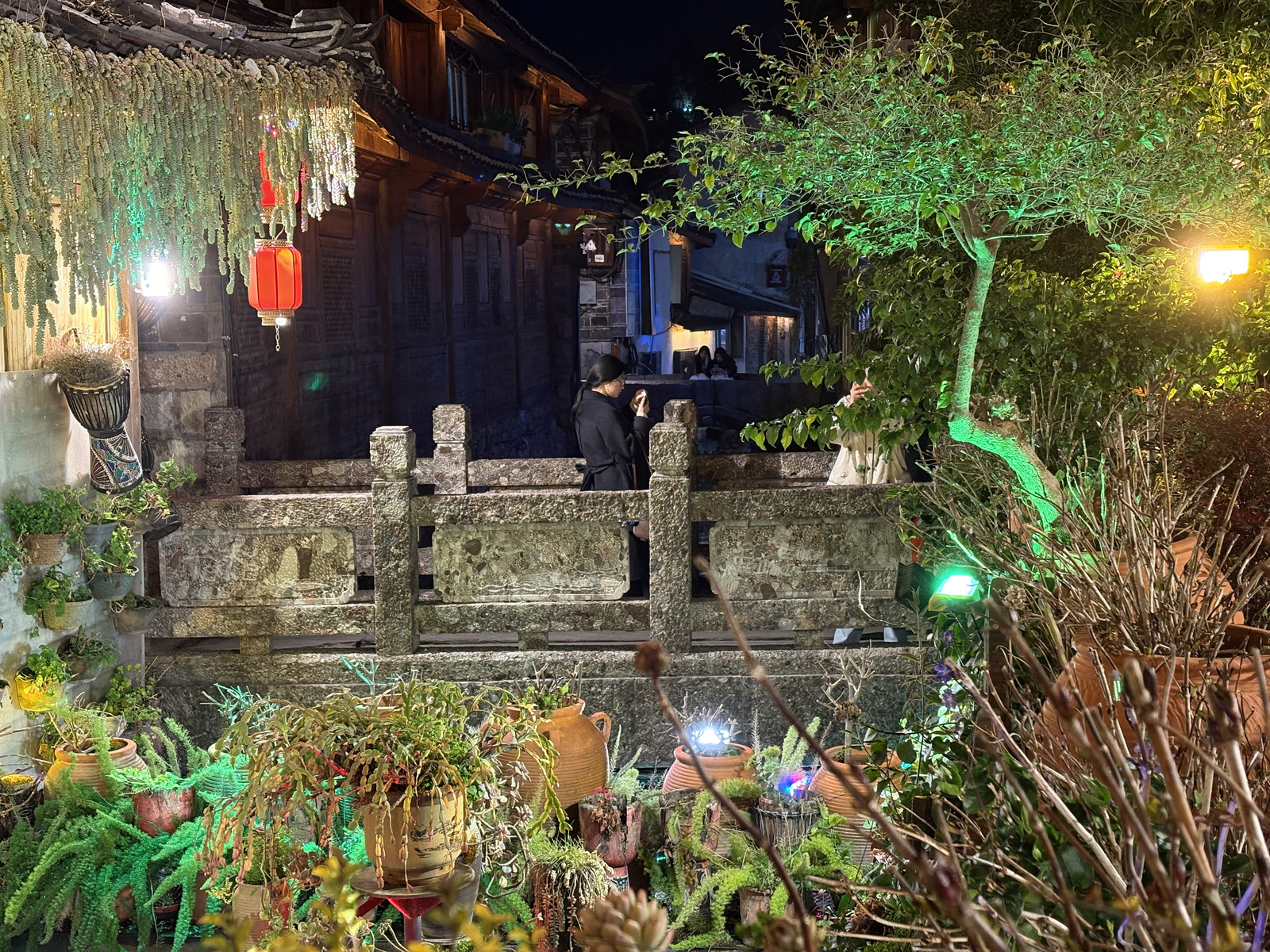 Picture China Lijiang 2026-01 695 - Pictures Lijiang
