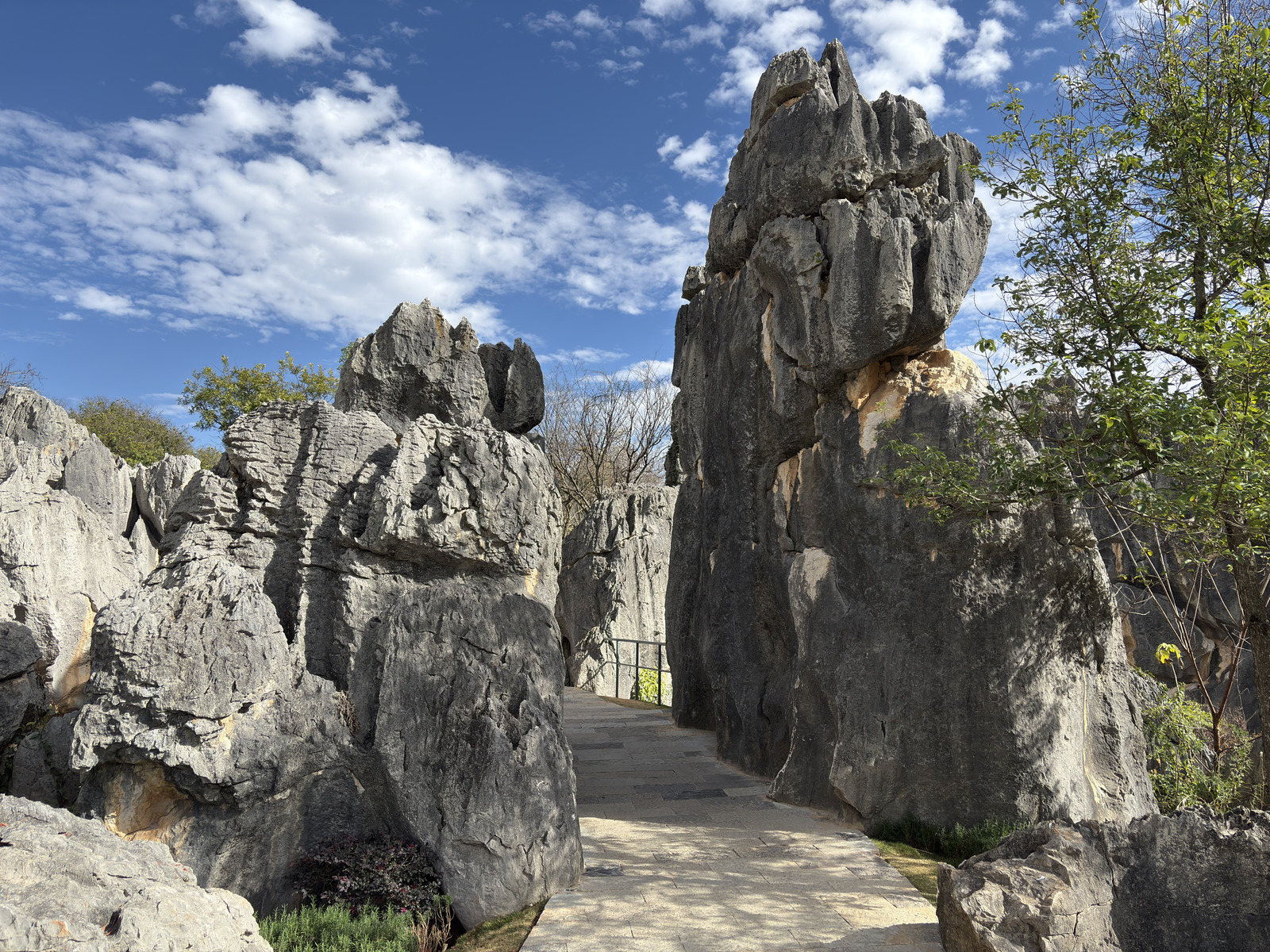 Picture China Shilin Stone Forest 2026-01 231 - Tourist Places Shilin Stone Forest