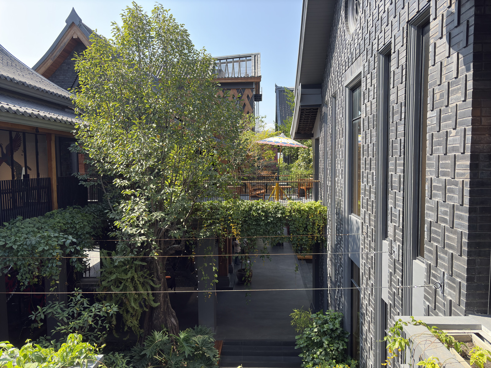 Picture Thailand Chiang Mai Kalm 2024-12 58 - Photos Kalm