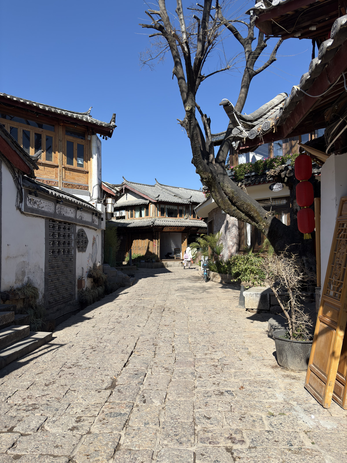Picture China Lijiang 2026-01 460 - Picture Lijiang