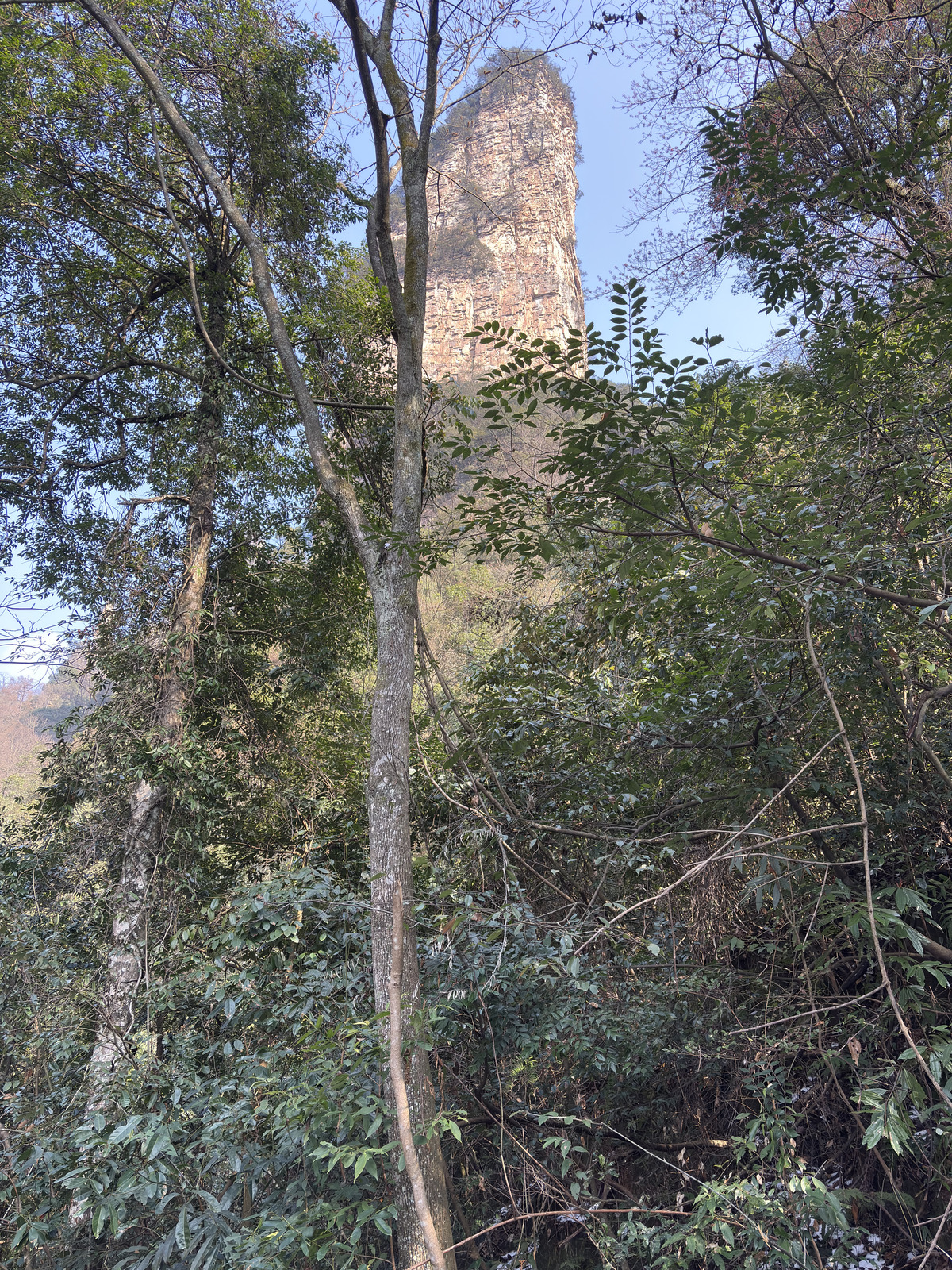 Picture China Zhangjiajie Tianzi Mountrain 2026-01 156 - Trip Tianzi Mountrain