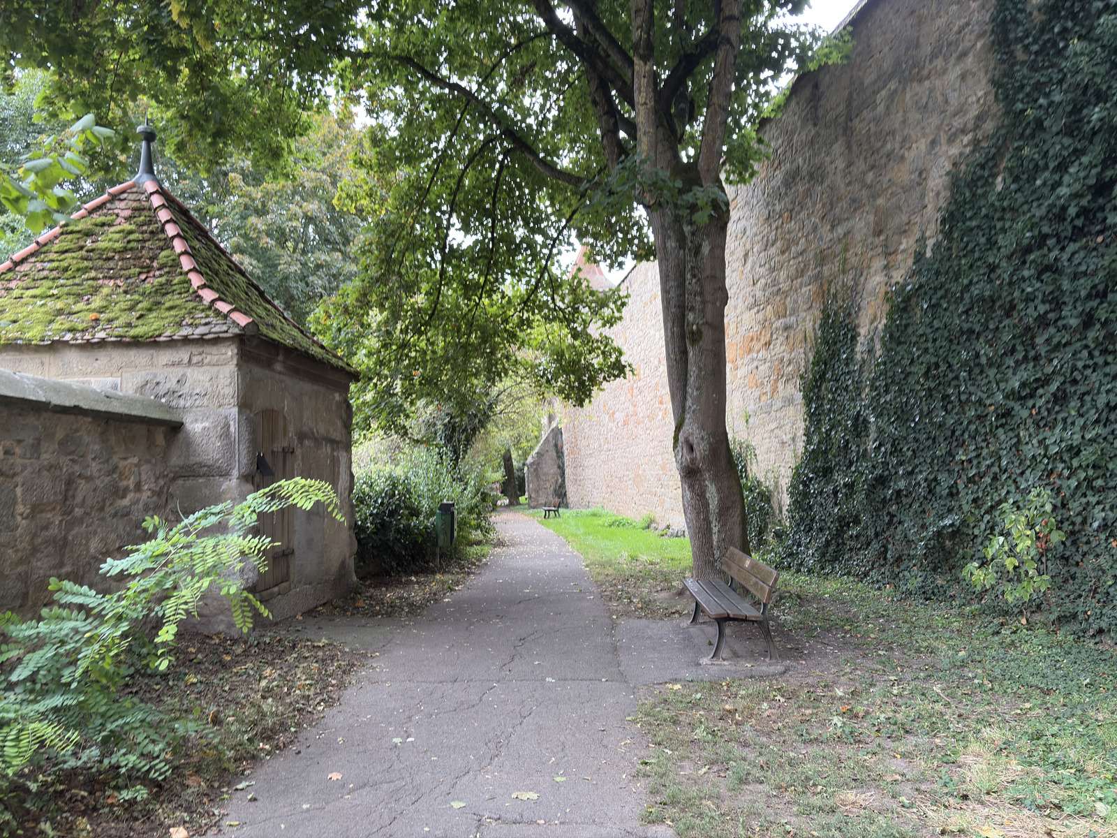 Picture Germany Rothenburg ob der Tauber⁩ 2025-09 85 - Trip Rothenburg ob der Tauber⁩