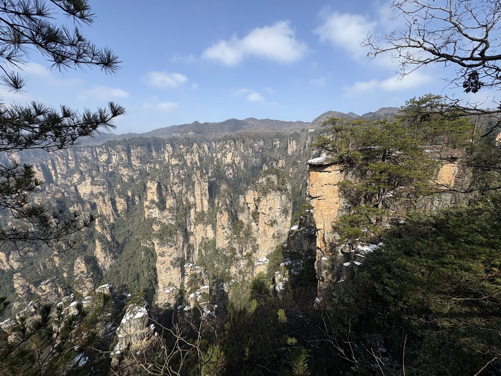 Picture China Zhangjiajie Tianzi Mountrain 2026-01 217 - Perspective Tianzi Mountrain
