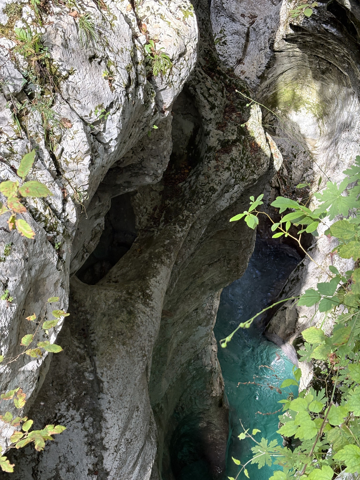 Picture Slovenia Soca River 2025-09 248 - Sightseeing Soca River