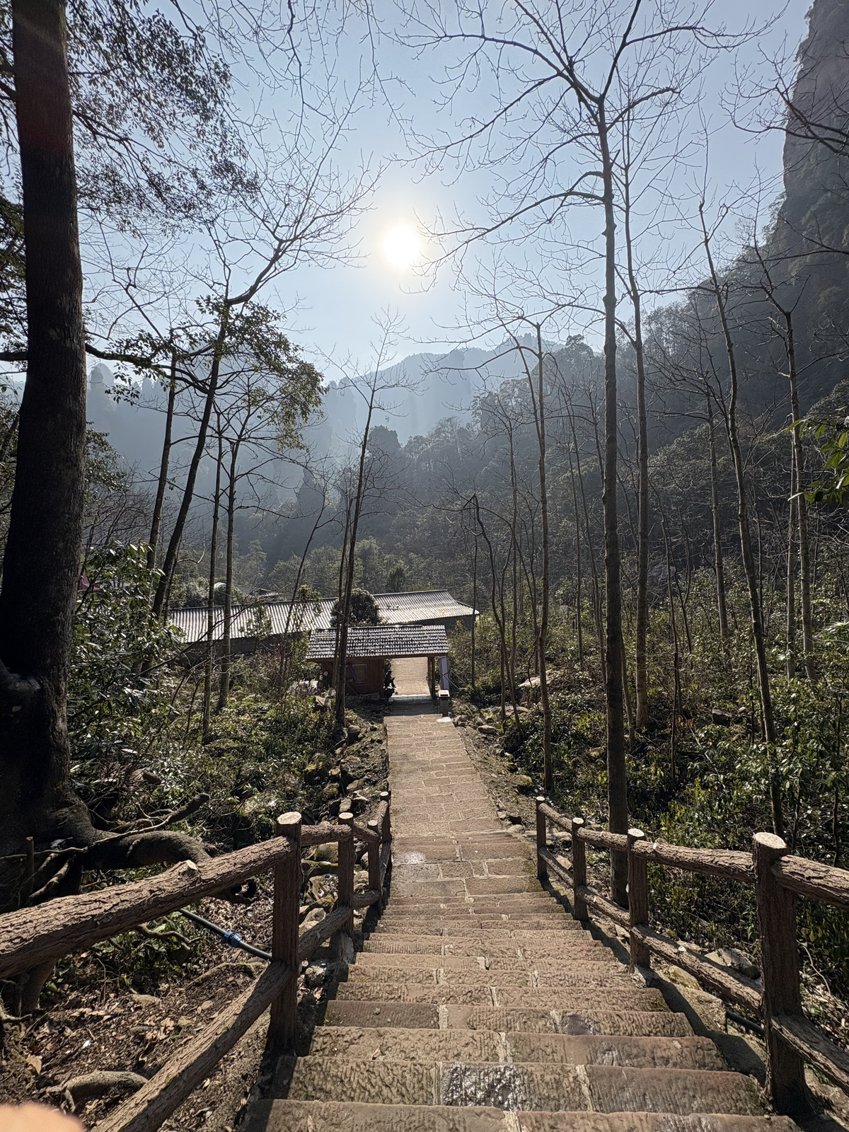 Picture China Zhangjiajie Tianzi Mountrain 2026-01 371 - Sight Tianzi Mountrain