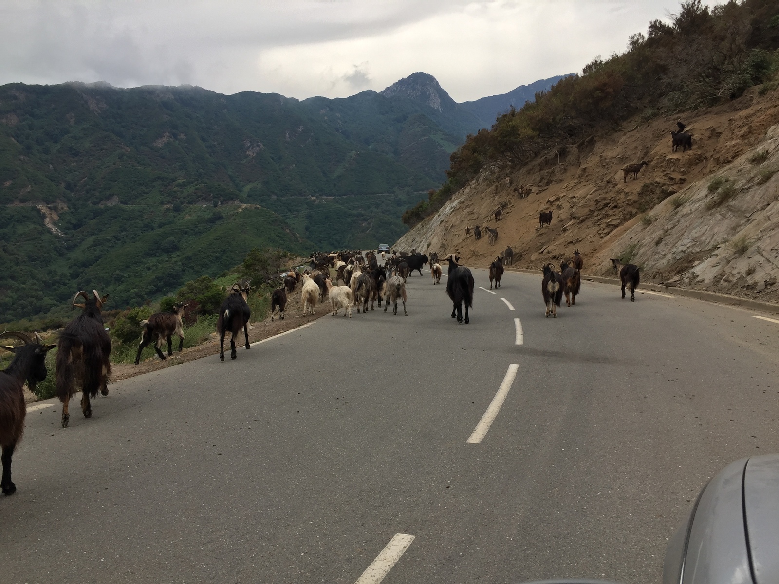 Picture France Corsica Valle d'alesani 2017-07 12 - View Valle d'alesani